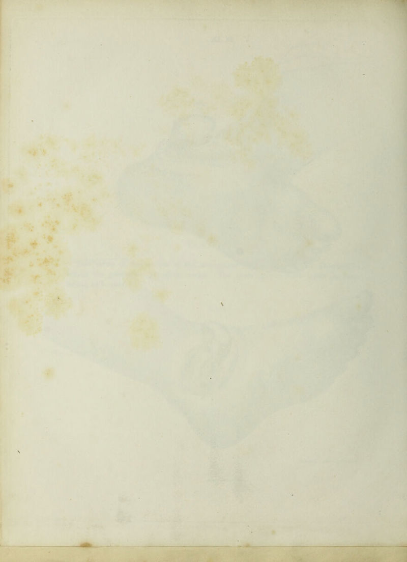 ■ra ;lE,■.•>■■■ ■ :■ A'vw^'tf^ '• ..wj 'iv. mm).. v':V’^^V ' .,4.' <• m-'r-■.,..., ■/' •'*y4L^: iM''’Sy . X' !^I!' I• ^ ^ ' ■>'i*' I Jk ■ , C f ♦ - , 5-^ -' *•■• - ... ,,.|,;y J,^,, ,4| ‘■■'V>i. ^ vvy;. . ,,' *■ -V ”0 » '^'• -h . . :^ih ,-^* ti.* . -.. , ,.::vn ./|i.. • .. .  ! /A,-i 1^' .7*^ '. iJf/.’ ■■>;S - / ,!<■*'• ■H*f: ltf' r^'‘ -■; ■ ^-‘';v'.x':* ' ^ ..iB T • ■'!' . ■ ■■ ■y>i'.,(i ..Sfc'.v I 1 r ,9^' .•■•• -ii • ■ 'mu ^ W- . .» '^',4 : ■/« ,'V ' 'y# ■4 -i. ■ 4':''■‘, ,' ‘ ', m*':- “rv^^.y; v', . \:'i v^md