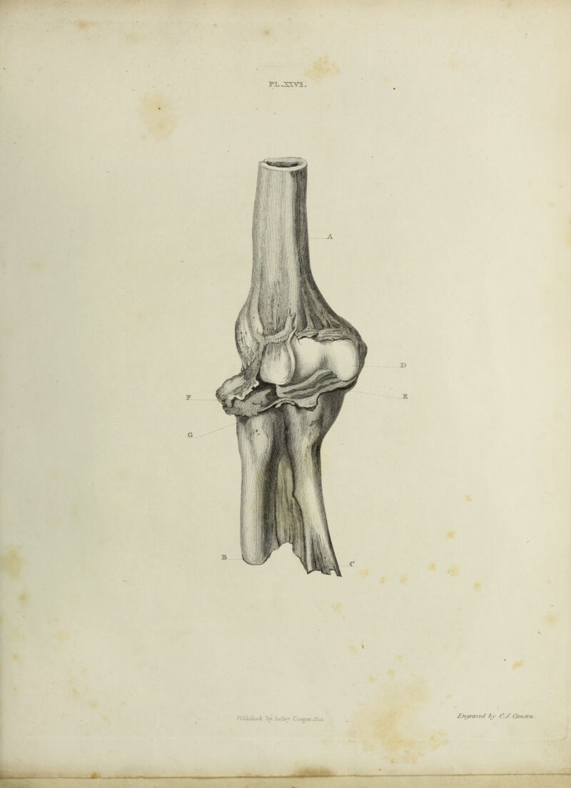 iM, In'.Wtlev Cooper.i3;^2 >(/ l\y (\J. Cfmrrrt.