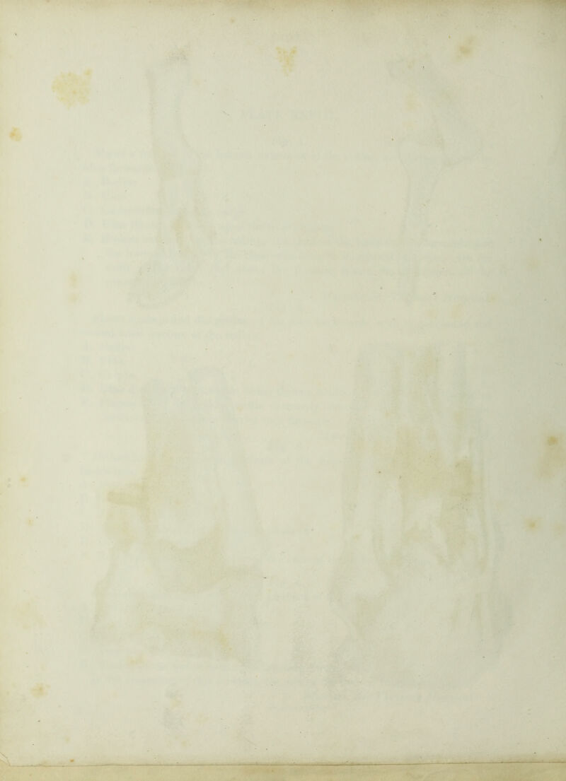 :v ^r.- '■.W • * V “ »■• ^>*.• ) • »if< *'^V ‘V , V