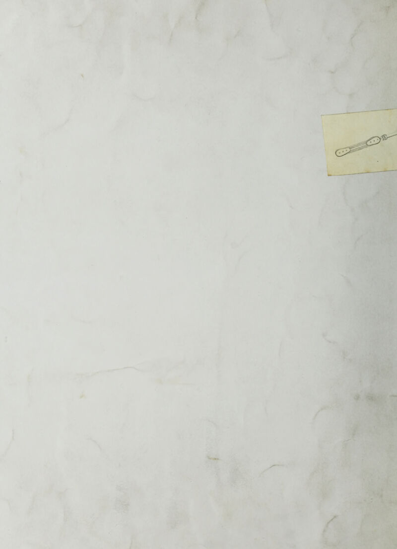 i. V i I \ • : t 1. ' •-‘i