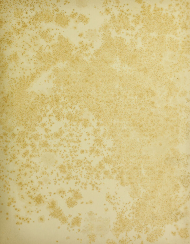 ‘ ■ '-.V • 4.- # . •' ■>:7  '*• ; r i- ■■*■■ .’.sV-: > ir ■ . *• . ^.. ■• -il ,- . ■ ' . ./ V .* ••■-.•.*. • ft 1 *’^r: ^ • , .. r ^ Jr ^ . . ,. . ‘ . . v *• •.-; v,,-: ■ • • ..•, , ‘‘* • '.* ‘ Jv- ■•M E>'< _ . ,'v «^.?4'’ -f ■’'■•*'; .' •. u.I’V ,';«sV • w. ■.-'.■.j;. v';, ^V-x ^ •,. • _ .A *t>-, »- I . ... ^ . ■ :;». yj % . jA <• ^ TTs- * . / ^ ‘ -V;' • « ♦ f. b #7 ' L ► *• 'f f ^ •‘tLV,r. H * I’ ^ # ♦ I ^ « % ':v • k. •. •• • 5 . ♦ , £ y ( V f' H‘Vr' i •-•,. «' p f ■ i *• «.'. rf; . k >c * #W •> V - . *• :• '*T * { , t •■/». > { ‘ r 'V V, <fc ;» . • • • ».« '. '»^ ■■'-’• V . ’ ■* ■ ^ : . V' ' , y c •* ' ... , . »■ 57 * i’ >, ... V ' ly* \* « . . . • • ’ *i- ■''*7 .ft ft > . M ^ V r«^v' , ^0-