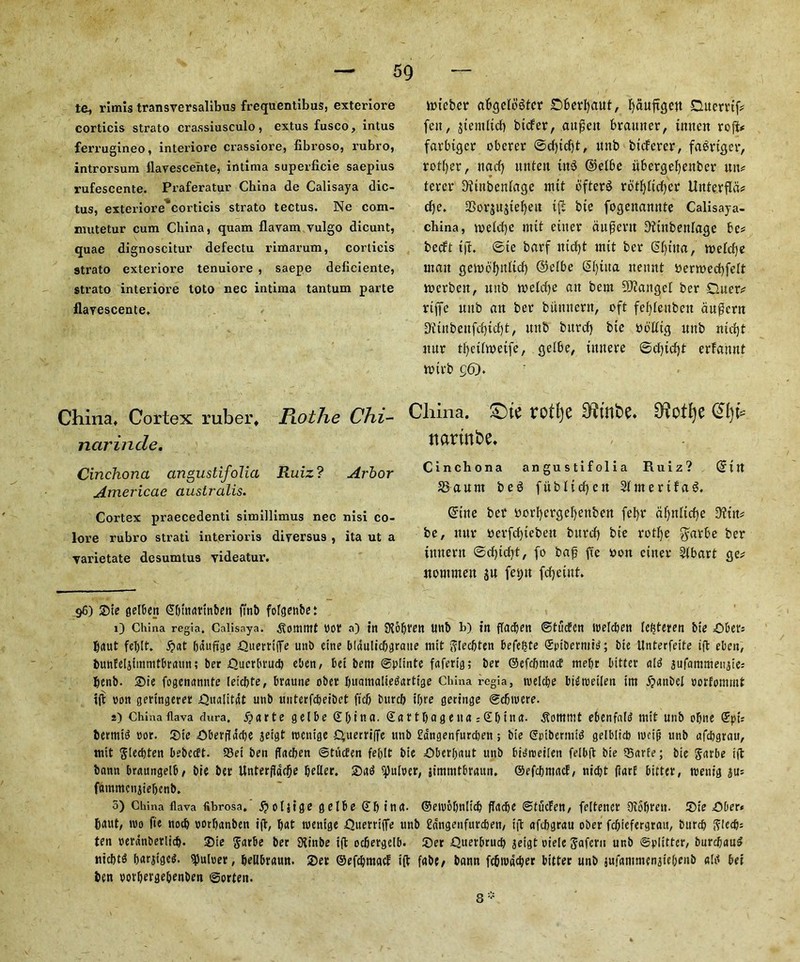 te, rimis transversalibus frequentibus, exteriore corticis strato crassiusculo, extus fusco, intus ferrugineo, interiore crassiore, fibroso, rubro, introrsum flayescente, intima superficie saepius rufescente. Praferatur China de Calisaya dic- tus, exteriore'corticis strato tectus. Ne com- mutetur cum China, quam flavam yulgo dicunt, quae dignoscitur defectu rimarum, corticis strato exteriore tenuiore , saepe deficiente, strato interiore toto nec intima tantum parte flayescente. China, Cortex ruber, Pwthe Chi- narincle. Cinchona angustifolia Ruiz? Arbor Americae australis. Cortex praecedenti simillimus nec nisi co- lore rubro strati interioris diyersus , ita ut a yarietate desumtus yideatur. itn'eber ahgeloStcr £>6erl)aut, fyauftgcn Duerrtf* feitr jtentltcf) bicfer, attfktt brattner, ttttten rofi* farbtgcr oberer ©cf)idf)t, unb btcferer, falriger, rotifer, nadf) itnten tnS @elbe itbergefyenber un* tern* Diutbenlage nut ofterS rotffltdffcr Unterfld* cf)e. 2Sor$u$tel)ett t(t bte fogenamtte Calisaya- china, toeldfe nut enter ait$ent llttnbenlage be* beeft iff. ©te bnrf tttcfft nut ber <5(>uta, roelcfye man geioelptlidE) ®elbe Sfjtna neitnt bem>ed)felt mcrbeit, nub n>etcf)e an bent Mangel ber Ducr* rtffc nnb an ber bitnnent, oft felflettbett anfern Dt£tnbenfcbjtcf)t, nnb bitrdf) bte obltig nnb nitfjt mtr tlfetltneife, gelbe, tnnere ©cf)icf)t erfamtt toirb g6). China. £)te rotfye 9^otJje @l)i* narmbe. Cinchona angustifolia Ruiz? On rt S3 a urn beS fitbltcfyen Sint e rtf a$. Ortne ber borfyergefyettben fel>r afynltcffe D?tn* be, itur bcrfdbtebett bttref) bte rotjje $arbe ber tnnern @cf)id)t, fo baf? fie bon ctner Slbart ge* nontmett ju fet>n fcfjeint. 96) ©te gelbett ©bmarinben ftnb fofgenbet 1) China regia. Calisaya. $ommt oor a) in Siofjvett unb b) in flacben ©tudfen welcben kitten bte ©ber* b<tut fel)lt. £at (jduftge =QuerrtfTe unb eine bidnlicbgratte mit ftledjten befegte ©pibermid; bte Unterfeite ift cbeit, bunEeljtmtntbmtn; ber ©uerbrud) eben, bet bem ©plinte fafetig; ber ©efcbntacf mebr bitter aid aufammeitgie; benb. ®ie fogenamtte leicbte, braune ober buamaliedartige China regia, roelcbe bUweilen im 5?anbel oorfommt tft Don gertngerer ©ualitdt unb uiiterfcbeibet ftcf> bttreb tyre geringe ©ebroere. 2) China llava dura, jjarte gel be ©bi na. ©artbagena = ©bina. .Somnit ebenfald rntt unb obne ©pi; bermtd ror. ®te ©berflddje jetgt rccntge Querriffe unb £angenfurd)en; bte ©etbermid gelblicb weifj unb afdjgrau, mit 5ted)ten bebeett. 93ei ben flacben ©tiicten fe[)lt bie ©berbaut unb bidroeilen felbjt bte Q3«rfe; bie garbe ift bann braungelb, bie ber Unterflatye better, ©ad fpuloer, jitmtttbraun. ©eftyntacf, nityt ftarf bitter, roetiig fammcnjtebenb. 5) China tlava fibrosa.' £oljige gelbe ©b tn<*. ©ewctynlicb flfndbe ©tucFen, feltener Diityren. ©te ©ber« baut, wo fte nocb rorbanben ift, bat wentge ©uerrtffe unb Sangenfurcben, ift gftbgrau ober febiefergran, burcb ffteeb: ten rerdnberlid). ©ie &er Siinbe ift ocbergelb. ©er ©uerbrucb geigt oielc Jafern unb ©plittcr, burcb«u5 niebt^ bargtgc^. ^ulrer, bettbraun. ©er ©efcbmacf ift fflbe> bann fcbwdcber bitter unb juhtninienjtebeub alti bet bett vorbergebenben ©orteit. 8*