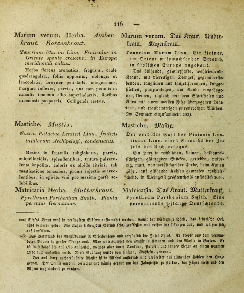 Marum verum. Herba. Amber- kraut. Katzenhraut. Teucrium Marum Linn. Fruticulus in Oriente sponte crescens, in Europci jneridionali cultus. Herba Horens aromatica, fragrans, caule qnadrangulari, foliis oppositis, oblongis et lanceolatis, breviter petiolatis , integerrimis, tnargine inflexis, parvis, una cum petiolis et ramulis tomento albo supei inductis, floribus racemosis purpureis. Colligenda aestale. Mastiche. Mastix, 'Succus Pistaciae Lentisci Linn., fruticis insularum Archipelagi, condensatus. Resina in frustulis subglobosis, parvis, subpellucidis , splendentibus, tritura pulveru- lenta impolita, colons ex albido citrini, sub masticatione tenacibus, prunis injectis suaveo- lentibus, in spiritu vini pro maxima parte so- lubilibus. Matricaria Herba. Alut ter kraut. ey rethrum Parlhenium Smith, Planlci perennis Germaniae. Marum verum. £)a$ $raut. $htiber* fraut. $a£enfrauf. Teucrium Marum Linn. (Jin Center, tm Orient tt> i I tun ad) fen ber ©fraud), in fiibltdjen (Jurepa angebaut. £>a6 bliifjettbe, gemiirgbafte, mofjlriecfyenbe $raut, mit merccftgem ©tengef, gegenuberfte* fyenbett, Idttgltdjen uitb lanjettformigen, fttrgge* fticlten, gangranbigen, am 9tanbe cittgeboge* Jteit, Fleinen, gugletd) ntit bem Slattftielen uitb Slftett nut cittern roeiftett ^tlge iibergegenen Slats -tern, mtb traubenartigen purpurrotbeit Sliitfyeit. 3m (Sommer eingttfammcln 202). ‘ • Mastiche. SOeafhjC. 2>er oerbiefte ©aft ber Pistacia Len- tiscu9 Linn, eitteS ©traud)$ ber 3tt* feIn be6 SlrdjipelagttS. (Jin Jparg in rmtblidjett, Fleinen, ftalbbnrd^ fid)tigen, glangettben ©tiiefen, gerieb'en, pulnc* * rig, matt, non toei£lid)gclber ^arbe, beirn $auen gdbe, auf gliifjettbe $ol)leit gemorfett ntel)lrie#‘ ‘‘cfyehb, tit 2Betttgctft groptentfycilS attfloSlicf) 203). 4 » Matricaria. £>a§ ^raut. ^utterfraut. Pyrethrum Parthenium Smith. (Jilte perenittreube ^flan^o* Seutfcfylanbe. 201) ©iefei tfraut mug iit oerfiopften ©Idfctn aufbewahrt trerben, banttt bet niirfftytifte ©bell, bat? dtberifebe ©el, niebt otrforen gelje. ©ie [ieben.ben ©erucb fef>r, jetffe|jen tinb reipen bie SPflangen auit, unb rodljen ftd) auf benfelbctt. 200) Sag 2>ater[anb be$ 9J?af?irbauntd tft ©riecbeulanb unb rorgugUef) bie @biod. ®t tropft out! bem centum* beten 93oume in groget ©tenge dug. ©tan unterfebeibet ben ©lafltr in foment unb ben ©laftir in ©Often, et i(t in Sllfoljol bi$ auf i/io auftbiSlicb, irelcfceP abet burcb ©roefnen, 'puloern unb lange* 2iegen an einem warmetr Drtc and? auflo^Iicb tuirb. ©tefe ©ubftanj nmrbe con einigen, ©lafiiciit, genannt. ©et au$ 5?arj na*gefun(ie!te 97?aftir ift in SUfobol auflMicb unb cerbreitet auf gltibenben dtoblen ben 4>arj« getud). ©er ©tagir reirb in ©rieeben anb bdufig gefaut um bad Sobifletfcb |u (tavfen, bie ?d&ne tveig unb ben Sttbem tcoblriecbettb iu macben.