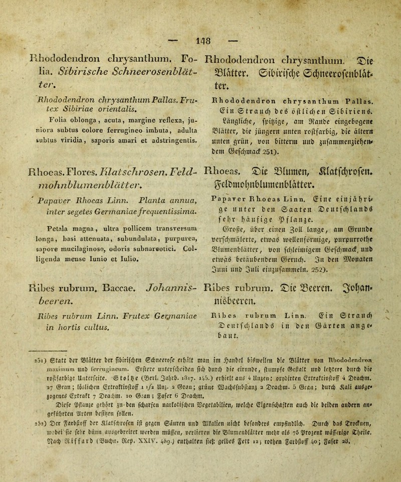 Rhododendron chrysanthum. Fo- lia. Sibirische Schneerosenbldt- ter. Rhododendron chrysanthum Pallas. Fru- tex Sihiriae orientalis. Folia oblonga , acuta, margine reflcxa, ju- riiora subtus colore ferrugineo imbuta, adulta sublus viridia, saporis amari et adstringentis. Rhoeas. Flores. Klatschrosen♦ Feld- mohnbluinenbl titter. Pa-paver Rhoeas Linn. Planta annua, inter segeles Germaniae frequentissima. Petala magna, ultra pollicem transversuni longa, basi attenuata, subundulata, purpurea, sapore mucilaginoso, odoris subnarcolici. Col- ligenda meuse Iunio et Iulio. Ribes rubrum. Baccae. Johannis- beeren. Ribes rubrum Linn. Frutex Gerjnaniae in hortis cultus. Rhododendron chrysanthum. £)te flatter, ©tbtrtfcfye 0d)neerofenblah ter. Rhododendron ch r y s an 13i um Pallas. @ t n © t r a u cf) b c g b |T: 1t d) e n <B i b t r i c n Sditgltcfye, fpifcige, am Diattbc ctitgcbegcne flatter, bte jiittgcrn uitfeit rojtfavlug, bte dltern mtten gvittt, »oit bittern uttb sufammen3tef)etv bent ©efcfymacf 25i). Rhoeas. 251umett, .Svlatfcfyrofen. Jelbmcfynblumenblatter. Papaver Rhoeas Linn, Cri it e eittjatfYV g c huter ben @ a a t e it 2) e it t f d) I a it b $ f c I) v t) d u f t g e f l a it 3 e. ©rojje, iiber cutctt 3°ll lange, ant ©vunbe »erfcfymdlcrte, etmab weHettfbrittigc, purpurrottye SBfumenbldtte.r, Doit fdjlctmtgcm ©efdjmacf, unb ctmgS 6etdubcnbem ©erttd). Sit belt 5)?ouatert Sunt unb Suit etitjufammeltt. 252). Ribes rubrum. £)te 25ecren. m£bmm Ribes rubrum Linn. <51 It ©trattd) 2> e it t f d) l a it b $ t n b e it © d r t e it a it g e* b a it t. 2ji) gtatt i>er flatter ber fibirifeben ©cbneerefe cifjdlt twin tm jjanbel bidiuetlen bie ‘Blatter turn Rhododendron maximum unit ferrugincum. Grftcre uitterfdjciben fid) burd) bie eirttnbe, flutnpfc ©cfialt unb fcfjtere bur* tie rofifarbige Unterfeite. ©tolbe (Sell. 3al)fb. 1817. 145.) evfjielt aug 4 linden; orpbirten Grtraftioiloff i Sractjm. 27 ©ran; Ibididjen Grtraftioftoff 1 1/2 Unj. 2 ©ran; gruiie 2Bac&<>fubftatij 2 Sracfcut. 5 ©ran; burd) .Salt augge* jogeneg Gptraft 7 £>rad)nt. 10 ©ran ; Safer 6 Sracbtn. 25iefe 'Pflanje gebort jtrben febarfen narfotifdjen iBegefabilien, inelcbe Gigenfcbaften and; bie beiben anbern an* gefuljrten 2Jrten beftRen fallen. 25j) 5)cr S«rbficff ber 3tlatfd)rofen tfi gegett ©duren unb Sllfalien uiebt befonberg enipftnblid). Surd) bag Srecfnen, lurbei fie febr biinn auegebreitet iverben niuffen, uerlieren bie Slumenbldtter mebr old 75 Dtrojent ntafferige ibeile. 9la<b Of iff a vb (SSucbn. Oiep. XXIV. 4f>9-} eittbalfett fiej; gelbcg Sett 12; rotben Stubfioff 40; Safer ad.