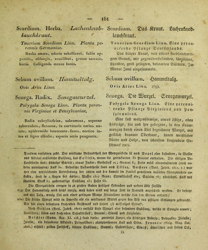 Scordium, Herba, Lachenknob- lauchhraut. / Teucrium Scordium Linn. Planta pe- rennis Germaniae. Herba amara, odoris suballiacei, foliis op- positis, oblongis, sessilibus, grosse serralis, birLis. Colligenda mense lunio. Sebum ovillum, Hcimitieltalg. Ovis Aries Linn. Senega* * Radix. Senegawurzel. Poly gala Senega Linn. Planta peren- nis Virginiae et Pensylvaniae, Radix subcylindrica, subi’amosa, superne tuberculata , ilexuosa, in curvaturis carina no- tata , epiderraide lutescente - fusca , cortice in- tus ct ligno albidis , saporis acris pungentis.i Scordium. £)a$ Sacfyenfnob* laucfyfraiit. Teucrium Scordium Linn. ® {it e p e V e \\t nivcube ^flaitjc ©cittfdjlanbS. Saw Litfere $rauf, Pott etrnag f'nebfauri'nrtu flcm ©enter), nut gccjeiuibcrftefyenbetT, laitjjltdjcn, ftl^enbett, grob gefagteit, bcl/aavfctt Slattern. 3m Cottar 3uiu etn$ufammeln. Sebum ovillum. *£)ammeltalg, Ovis Aries Linn. 279). Senega. £>te UBurjcl. ®cneganuir$ef. P o by gala Senega Linn. Gftlte pevenni* rente ^flauje 23trgtnienS unb ^>en# f p l y a n t c it 3. G'ttte fajl waljenformtcje, cttt?a«5 ctjftge, cbeii fyocfettge, l)tn.iutfc l)ev gebogene, tit ben .friim* ntungett bitrcf) etnen Slicl bejeicfjnete ffiurjel, mtt flelbltcf) brautter Oberbaut, tttnen nmfjltcfjer 3itnbe uitbboolje, Pott fcbarfem fraljicnbem ®es frfpnacf 230). Srotfnen uerloftren 9ct)t. Ser leirffame tBefratibtbetl ber TOeerjnttebetn t|i unci) 3309el elite befonbere, in SBafler snb Silfoltol (litflofSlicbe ©ubfbinj, ba$ © c ilttitt, ivooon bie getvocFneten 35 tpiocetit entltalten. Site ubrfgen 58«s ftanbt&eile finb: fludttige ©dtarfe; etma6 gutter; ©erbeftofir 2i; ©urnim 6; gofer nebft citroncnfatirein (nad) ans bern tpeinfauren) 00. 2Jebnltdte 25eft«nbt(jetle fanb au® Sillot). 55u eft 11 er (33erl. 3al>vb. iBn. 1.) tuel* d;cr cine oergleidtenbe Unterfu®ung ber d®ten utib bcr bamalb fm £>anbel geiuefeitett und®ten 3Jfeerpuie6eht an* ftellte, fauD in 4 Unjcn bet depten: SBalfer 1517 ©ran; ©xtrafttufioff 182; ©dtleim 76; ptyodpOorf. $g[f nut fcparfem ©toff 6; gallertarttge ©ubflait} 18; gafer 65. Sie ©teerjioiebcln erregen in ;u grofjen ©aben feeftigetf ©rbredten ttnb anbere uble gufdlle *79) £>cr ^‘tnimeltalg tuirb lei®t ranjtg, tnu§ baiter nidtt auf lange jleit in 93orrat(> angefebaft tuerben. ©r beftc6t ou<5 uiel Salg, roenig Del unb eiiter geringen 9)icnge jpirciitfdure roelcfte iltnt ben ©erudt ertf>eilt.! a'3o) Sic frifdte aQurjel roivb in Slmertfa aid ein ntirffamed ®?ittel gegen beti 53tj? uon gifftgen ©dtlangen gebranebf. ©ie I>at etnen befonbern fra^enben ©efcpmacE unb licfert 1/3 wa(fertge0 ©jrtraft. 2at® ©eltlcn (55erl. 3altrb. >8o4) cntltdlt biefe 2Burjcl eine befonbere ©ubflanj, n>e!®c cr ©cnegtn nannte; SfieicftOarj; ftifien unb tra^enben ©jctraltiodoff; ©ummt; ©iiueig unb jjoljfafer. SB e f cl) i e r (®u®n. Picp. XI. i58.) fanb barin: jivcierlei Sparse; ein fliidtttgeiS IJJrineip; fUoIpgaliti! 3folu(tn; 3nttltn; tin befonberee' iMlfaloib; Jiolttgalfatire; pbo<5pltorfauren dlalf unb ©ifen. geneulle (®eig. SOfag. Oct. 1826.) erltielt; gclbtn gorbflolf; bittcre ©ubiTgni; ©nnrnii; ©allertniuve; ©iivtid; dtberifc&ed unb fettetf Oel;