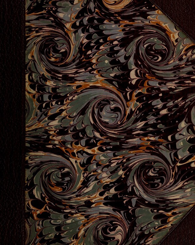 No text description is available for this image