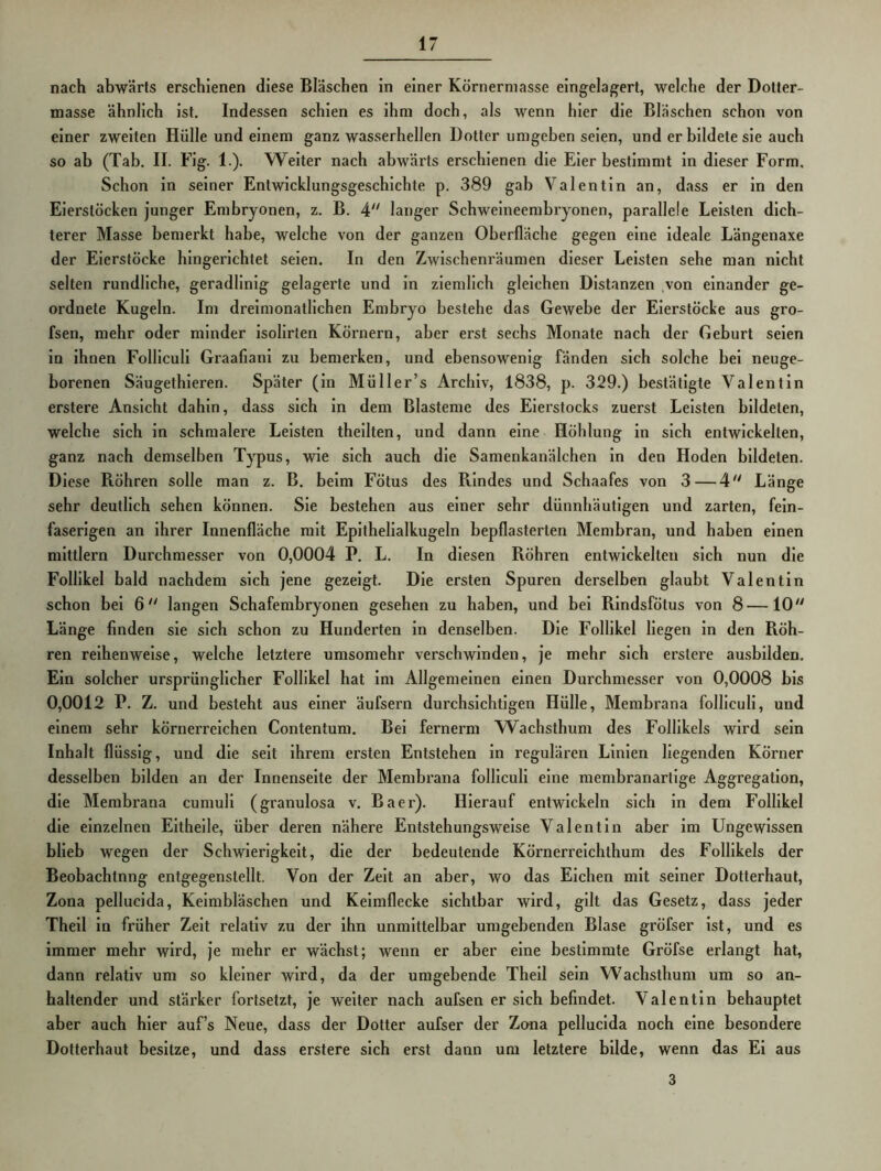 nach abwärts erschienen diese Bläschen in einer Körnermasse eingelagert, welche der Dotter- masse ähnlich ist. Indessen schien es ihm doch, als wenn hier die Bläschen schon von einer zweiten Hülle und einem ganz wasserhellen Dotter umgeben seien, und er bildete sie auch so ab (Tab. II. Flg. 1.). Weiter nach abwärts erschienen die Eier bestimmt in dieser Form. Schon in seiner Entwicklungsgeschichte p. 389 gab Valentin an, dass er in den Eierstöcken junger Embryonen, z. B. A langer Schweineembryonen, parallele Leisten dich- terer Masse bemerkt habe, welche von der ganzen Oberfläche gegen eine ideale Längenaxe der Eierstöcke hingerichtet seien. In den Zwischenräumen dieser Leisten sehe man nicht selten rundliche, geradlinig gelagerte und in ziemlich gleichen Distanzen von einander ge- ordnete Kugeln. Im dreimonatlichen Embryo bestehe das Gewebe der Eierstöcke aus gro- fsen, mehr oder minder isolirlen Körnern, aber erst sechs Monate nach der Geburt seien in ihnen Folliculi Graafianl zu bemerken, und ebensowenig fänden sich solche bei neuge- borenen Säugethleren. Später (ln Müller’s Archiv, 1838, p. 329.) bestätigte Valentin erstere Ansicht dahin, dass sich ln dem Blasteme des Eierstocks zuerst Leisten bildeten, welche sich ln schmalere Leisten theilten, und dann eine Höhlung in sich entwickelten, ganz nach demselben Typus, wie sich auch die Samenkanälchen ln den Hoden bildeten. Diese Röhren solle man z. B. beim Fötus des Rindes und Schaafes von 3—4'' Länge sehr deutlich sehen können. Sie bestehen aus einer sehr dünnhäutigen und zarten, fein- faserigen an ihrer Innenfläche mit Epithelialkugeln bepflasterten Membran, und haben einen mlttlern Durchmesser von 0,0004 P. L. In diesen Röhren entwickelten sich nun die Follikel bald nachdem sich jene gezeigt. Die ersten Spuren derselben glaubt Valentin schon bei 6'^ langen Schafembryonen gesehen zu haben, und bei Rindsfötus von 8—10'' Länge finden sie sich schon zu Hunderten in denselben. Die Follikel liegen ln den Röh- ren reihenweise, welche letztere umsomehr verschwinden, je mehr sich erstere ausbilden. Ein solcher ursprünglicher Follikel hat im Allgemeinen einen Durchmesser von 0,0008 bis 0,0012 P. Z. und besteht aus einer äufsern durchsichtigen Hülle, Membrana folliculi, und einem sehr körnerreichen Contentum. Bel fernerm Wachsthum des Follikels wird sein Inhalt flüssig, und die seit ihrem ersten Entstehen in regulären Linien liegenden Körner desselben bilden an der Innenseite der Membrana folliculi eine membranartige Aggregation, die Membrana cumull (granulosa v. Baer). Hierauf entwickeln sich in dem Follikel die einzelnen Eltheile, über deren nähere Entstehungswelse Valentin aber im Ungewissen blieb wegen der Schwierigkeit, die der bedeutende Körnerreichthum des Follikels der Beobachtung entgegenstellt. Von der Zelt an aber, wo das Elchen mit seiner Dotterhaut, Zona pellucida, Keimbläschen und Keimflecke sichtbar wird, gilt das Gesetz, dass jeder Thell ln früher Zelt relativ zu der ihn unmittelbar umgebenden Blase gröfser ist, und es immer mehr wird, je mehr er wächst; wenn er aber eine bestimmte Gröfse erlangt hat, dann relativ um so kleiner wird, da der umgebende Thell sein Wachsthum um so an- haltender und stäi’ker fortsetzt, je weiter nach aufsen er sich befindet. Valentin behauptet aber auch hier auf’s Neue, dass der Dotter aufser der Zana pellucida noch eine besondere Dotterhaul besitze, und dass erstere sich erst dann um letztere bilde, wenn das El aus 3