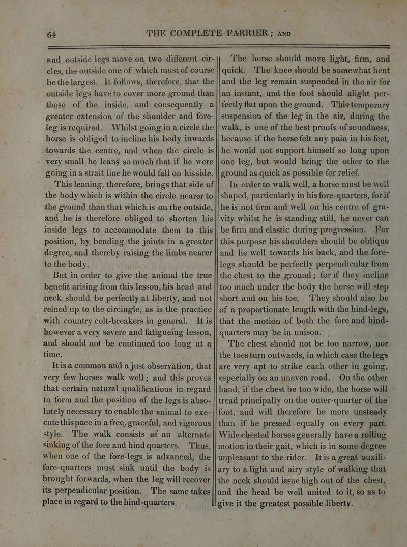 The horse should move light, firm, and quick. The knee should be somewhat hent — and the leg’ remain suspended in the air for an instant, and the foot should alight per- fectly flat upon the ground. 'Thistemporary suspension of the leg in the air, during the walk, is one of the best proofs of soundness, because if the horse felt any pain in his feet, he would not support himself so long upon one leg, but would bring the other to the ground as quick as possible for relief. Iu order to walk well, a horse must be well shaped, particularly in his fore-quarters, for if he is not firm and well on his centre of gra- vity whilst he is standing still, he never can be firm. and elastic during progression. For | this purpose his shoulders should be oblique and lie well towards his back, and the fore- legs should be perfectly perpendicular from But in order to give the animal the true || the chest to the ground ; for if they incline benefit arising from this lesson, his head and || too much under the body the horse will step neck should be perfectly at liberty, and not || short and on his toe, They should also be _ reined up to the circingle, as is the practice || of a proportionate length with the hind-legs, with country colt-breakers in general. It is||that the motion of both the fore and hind- however a very severe and fatigueing lesson, || quarters may be in unison. _ and should not be’ continued : too is at al} The chest should not be too area nor time. the toes turn outwards, in which case the legs It isa common and a just observation, that |/are very apt to strike each other in going, very few horses walk well; and this proves || especially on an uneven road. On the other that certain natural qualifications in regard || hand, if the chest be too wide, the horse will to form and the position of the legs is abso- || tread principally on the outer-quarter of the lutely necessary to enable the animal to exe- || foot, and will therefore be more unsteady cute this pace in a free, graceful, and vigorous |/than if he pressed equally on every part. style. The walk consists of an alternate || Widechested horses generally havea rolling sinking of the fore and hind quarters. Thus, || motion in their gait, which is in some degree when one of the fore-legs is advanced, the unpleasant to the rider. Itisa great ‘auxili- fore-quarters must sink until the body is ary to a light and airy style of walking that brought forwards, when the leg will recover ||}the neck should issue high out of the chest, its perpendicular position. The same takes||/and the head be well united to it, so as to place in regard to the hind-quarters. give it the greatest possible liberty. and outside legs move on two different cir- cles, the outside one of which must of course be the largest. It follows, therefore, that the outside legs have to cover more ground than those of the inside, and consequently a greater extension of the shoulder and fore- leg is required. Whilst going in a circle the horse is obliged to incline his body inwards _ towards the centre, and when the circle is very small he leans so much that. if he were going ina strait line he would fall on his side. This leaning, therefore, brings that side of the body which is within the circle nearer to the ground than that which is on the outside, and he is therefore obliged to shorten his inside legs to accommodate them to this _ position, by bending the joints in a greater degree, and thereby raising the limbs nearer to the body.