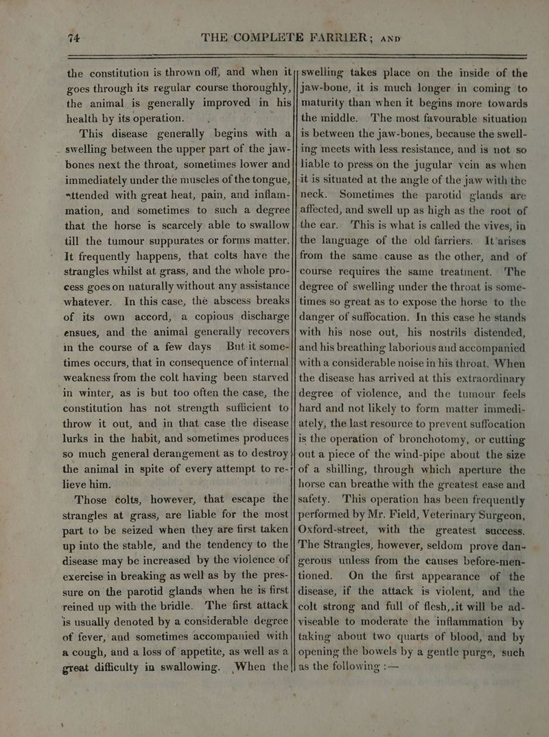 the constitution is thrown off, and when it goes through its regular course thoroughly, the animal is generally improved in his health by its operation. This disease generally begins with a _ swelling between the upper part of the jaw- bones next the throat, sometimes lower and immediately under the muscles of the tongue, attended with great heat, pain, and inflam- mation, and sometimes to such a degree that the horse is scarcely able to swallow till the tumour suppurates or forms matter. It frequently happens, that colts have the strangles whilst at grass, and the whole pro- cess goes on naturally without any assistance In this case, the abscess breaks a copious discharge whatever. of its own accord, ensues, and the animal generally recovers in the course of a few days But it some- times occurs, that in consequence of internal weakness from the colt having been starved ‘in winter, as is but too often the case, the constitution has not strength suflicient to throw it out, and in that case the disease lurks in the habit, and sometimes produces so much general derangement as to destroy the animal in spite of every attempt to re- lieve him. Those Colts, however, that escape Ai strangles at grass, are liable for the most part to be seized when they are first taken up into the stable, and the tendency to the disease may be increased by the violence of exercise in breaking as well as by the pres- sure on the parotid glands when he is first reined up with the bridle. The first attack is usually denoted by a considerable degree of fever, and sometimes accompanied with a cough, and a loss of appetite, as well as a great difficulty in swallowing. When the swelling takes place on the inside of the jaw-bone, it is much longer in coming to maturity than when it begins more towards the middle. The most favourable situation is between the jaw-bones, because the swell- ing meets with less resistance, and is not so liable to press on the jugular vein as when it is situated at the angle of the jaw with the neck. Sometimes the parotid glands are affected, and swell up as high as the root of the ear. This is what is called the vives, in the language of the old farriers. It’arises from the same cause as the other, and of course requires the same treatinent. ‘The degree of swelling under the throat is some- times so great as to expose the horse to the danger of suffocation. In this case he stands with his nose out, his nostrils distended, and his breathing laborious and accompanied with a considerable noise in his throat. When the disease has arrived at this extraordinary degree of violence, and the tumour feels hard and not likely to form matter immedi- ately, the last resource to prevent suffocation is the operation of bronchotomy, or cutting out a piece of the wind-pipe about the size of a shilling, through which aperture the || horse can breathe with the greatest ease and safety. This operation has been frequently performed by Mr. Field, Veterinary Surgeon, Oxford-street, with the greatest success. The Strangles, however, seldom prove dan- gerous unless from the causes before-men- tioned. On the first appearance of the disease, if the attack is violent, and the colt strong and full of flesh, it will be ad- viseable to moderate the inflammation by taking about two quarts of blood, and by opening the bowels by a gentle purge, such as the following :
