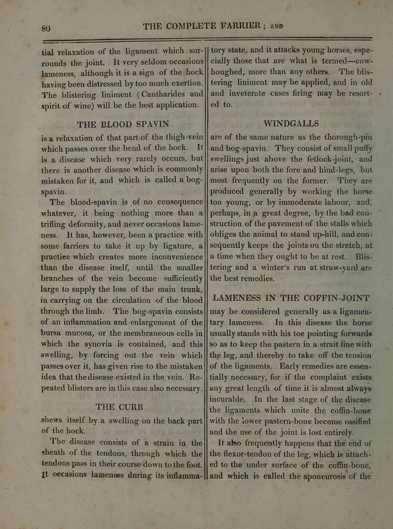 ee SS rounds the joint. . It very seldom occasions lameness, although it is a sign of the hock having been distressed by too much exertion. The blistering liniment (Cantharides and spirit of wine) will be the best application. THE BLOOD SPAVIN isa relaxation of that partof the thigh-vein which passes over the bend of the hock. It is a disease which very rarely occurs, but there is another disease which is commonly mistaken for it, and which is called a bog- spavin. The blood-spavin is of no consequence whatever, it being nothing more than a trifling deformity, and never occasions lame- ness. It has, however, been a practice with some farriers to take it up by ligature, a practiee which creates more inconvenience than the disease itself, until the smaller branches of the vein become sufficiently large to supply the loss of the main trunk, » in carrying on the circulation of the blood through the limb. The bog-spavin consists of an inflammation and enlargement of the bursa mucosa, or the membraneous cells in which the synovia is contained, and this swelling, by forcing out the vein which passes over it, has given rise to the mistaken idea that the disease existed in the vein. Re- THE CURB shews itself by a swelling on the back part of the hock. ° The disease consists of a strain in the sheath of the tendons, through which the tendons pass in their course down to the foot. It oecasions lameness during its inflamma- tory state, and it attacks young horses, espe- cially those that are what is termed—cow- houghed, more than any others, The blis- tering liniment may be applied, and in old and inveterate cases firing may be resort- ed to. WINDGALLS are of the same nature as the thorough-pin and bog-spavin. They consist of small puffy swellings just above the fetlock-joint, and arise upon both the fore and hind-legs, but most frequently on the former. They are produced generally by working the horse too young, or by immoderate labour, and, perhaps, in a great degree, by the bad con- ~ struction of the pavement of the stalls which obliges the animal to stand up-hill, and con- sequently keeps the joints on the stretch, at a time when they ought to be at rest. Blis- tering and a winter’s run at straw-yard are the best remedies. LAMENESS IN THE COFFIN-JOINT may be considered generally asa ligamen- tary lameness. In this disease the horse usually stands with his toe pointing forwards so as to keep the pastern in a strait line with the leg, and thereby to take off the tension of the ligaments: Early remedies are essen- tially necessary, for if the complaint. exists incurable. In the last stage of the disease the ligaments which unite the coffin- bone with the iower pastern-bone become ossified and the use of the joint is lost entirely. It also frequently happens that the end of the flexor-tendon of the leg, which is attach- ed to the under surface of the coffin-bone,