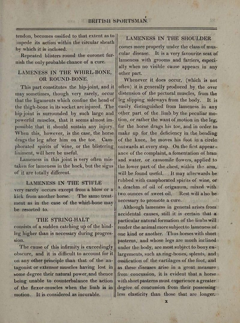 impede its action within the circular sheath by which it is inclosed. Repeated blisters round the coronet fur- nish the only probable chance of a cure. LAMENESS IN THE WHIRL-BONE, OR ROUND-BONE. This part constitutes the hip-joint, and it may sometimes, though very rarely, occur that the ligaments which confine the head of the thigh-bone in its socket are injured. The hip-joint is surrounded. by, such large and powerful muscles, that it seems almost im- possible that it should sustain any injury. When this, however, is the case, the horse drags the leg after him on the toe. Cam- phorated spirits of wine, or the blistering liniment, will here be useful. Lameness in this joint is very often mis- taken for lameness in the hock, but the signs of it are totally different. LAMENESS IN THE STIFLE very rarely occurs except from a blow or a kick from another horse. | The same treat- ment as in the case of the whirl-bone may be resorted: to. THE STRING-HALT consists of a sudden catching up of the hind- leg higher than is necessary during progres- sion. The cause of this infirmity is exceedingly obscure, and it is difficult to account for it on any other principle than that of the an- ‘tagonist or extensor muscles having lost in some degree their natural power, and thence being unable to counterbalance the action of the flexor-muscles when the limb is in motion. It is considered as incurable. Se comes more properly under the class of mus- cular disease. It is a very favourite seat of lameness with grooms and farriers, especi- ally when no visible cause appears in any other part. Whenever it does occur, (which is not often) it is generally produced by the over distension of the pectoral muscles, from the leg slipping sideways from the body. It is easily distinguished from lameness in any other part. of the limb by the peculiar mo- tion, or rather the. want of motion in- the leg, for the horse drags his toe, and in order to make up for the deficiency m the bending of the knee, he moves his foot. ina cirele- outwards at every step. On the first appear- ance of the complaimt, a fomentation of bran and water, or camomile flowers, applied to the lower part of the chest, within the arm, will be found useful. .. It may afterwards be rubbed with camphorated spirits of wine, or a drachm, of oil of origanum, mixed with two ounces of sweet oil. Rest will also be necessary to promote a cure. Although lameness in general arises from accidental causes, still it is certain that a particular natural formation of the limbs will render the animal more subject to lameness of one kind or another. ‘Thus horses with short pasterns, and whose legs are much inclined under the body; are most subject to bony en- largements, such as,ring-bones,' splents, and: ossification of the cartilages of the foot, and as these diseases arise in a great measure from concussion, it is evident that a horse» with short pasterns must experience a greater degree of concussion from their possessing less elasticity than those that are longer. x