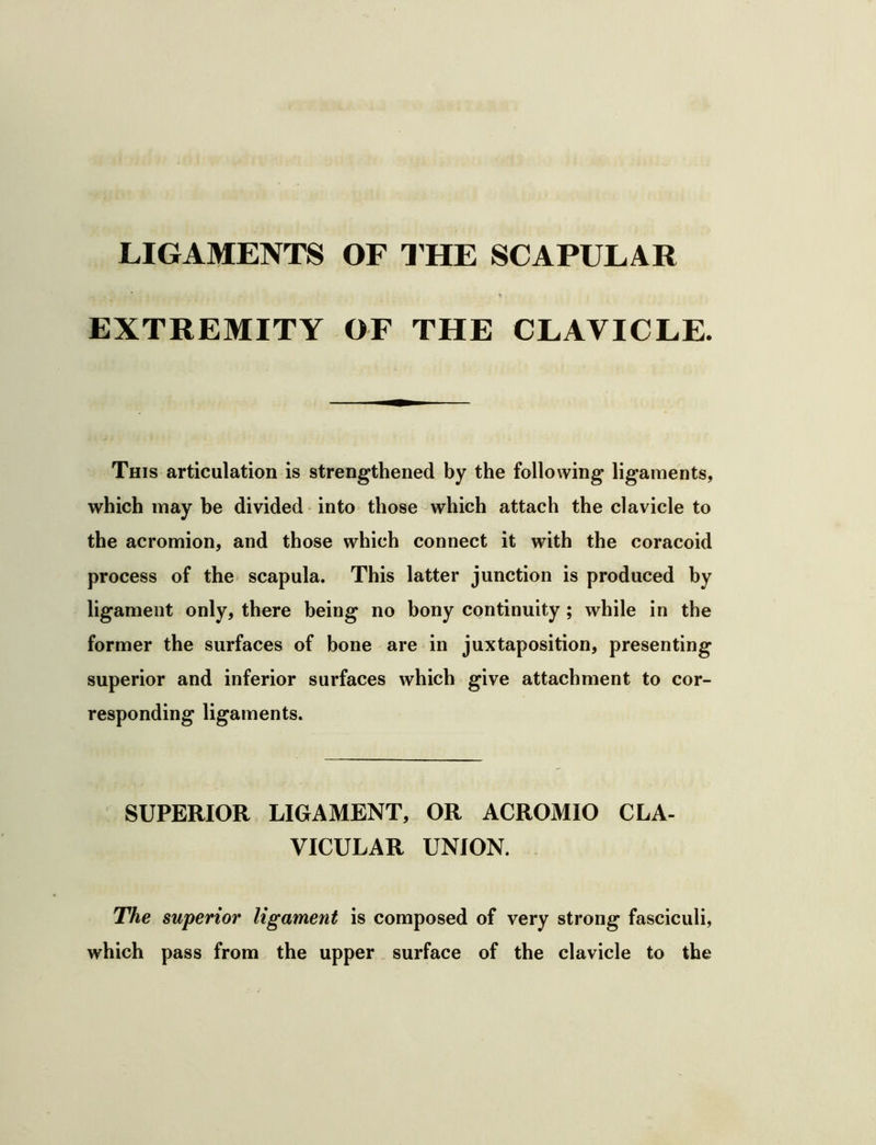 EXTREMITY OF THE CLAVICLE. This articulation is strengthened by the following ligaments, which may be divided into those-which attach the clavicle to the acromion, and those which connect it with the coracoid process of the scapula. This latter junction is produced by ligament only, there being no bony continuity; while in the former the surfaces of bone are in juxtaposition, presenting superior and inferior surfaces which give attachment to cor- responding ligaments. SUPERIOR LIGAMENT, OR ACROMIO CLA- VICULAR UNION. The superior ligament is composed of very strong fasciculi, which pass from the upper surface of the clavicle to the