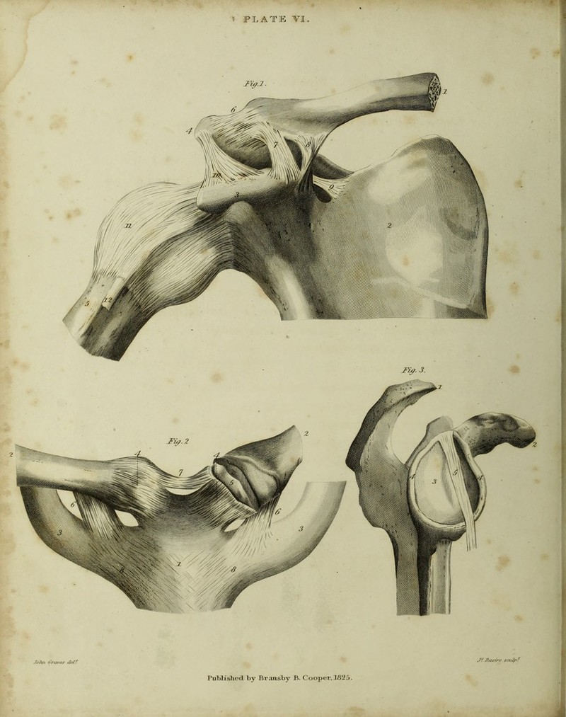 »■ PLATE 'VI» ♦ Graves rfr/t IY^.3. Basire scu^'^ Published by Brauslay B. Cooper,1825.