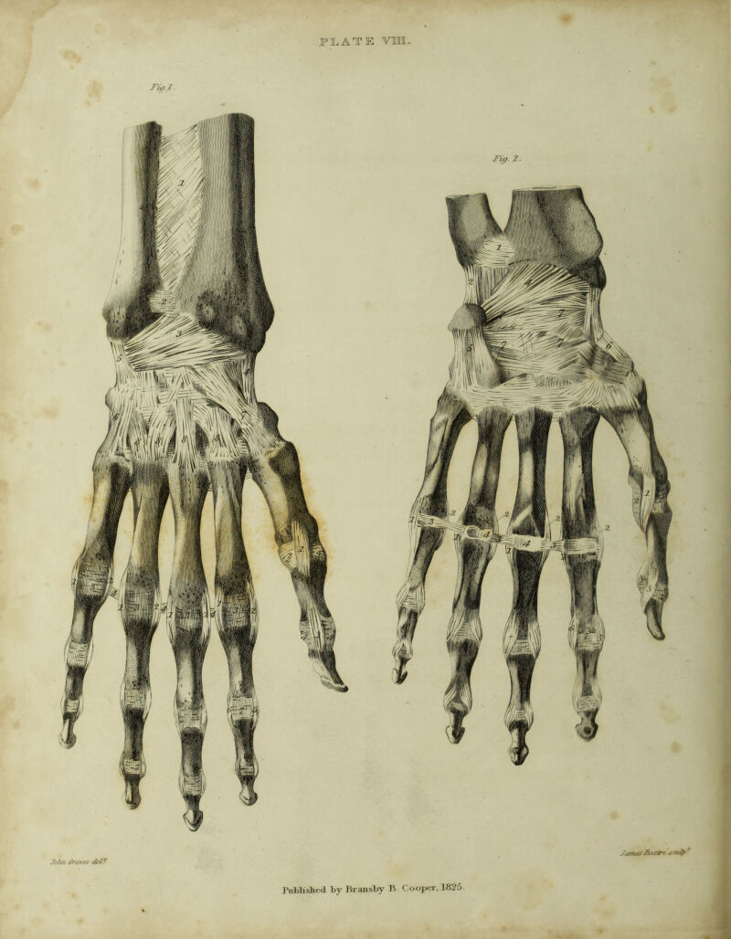 J’nMisTied l)j BransT^y B- Cooper, 1825