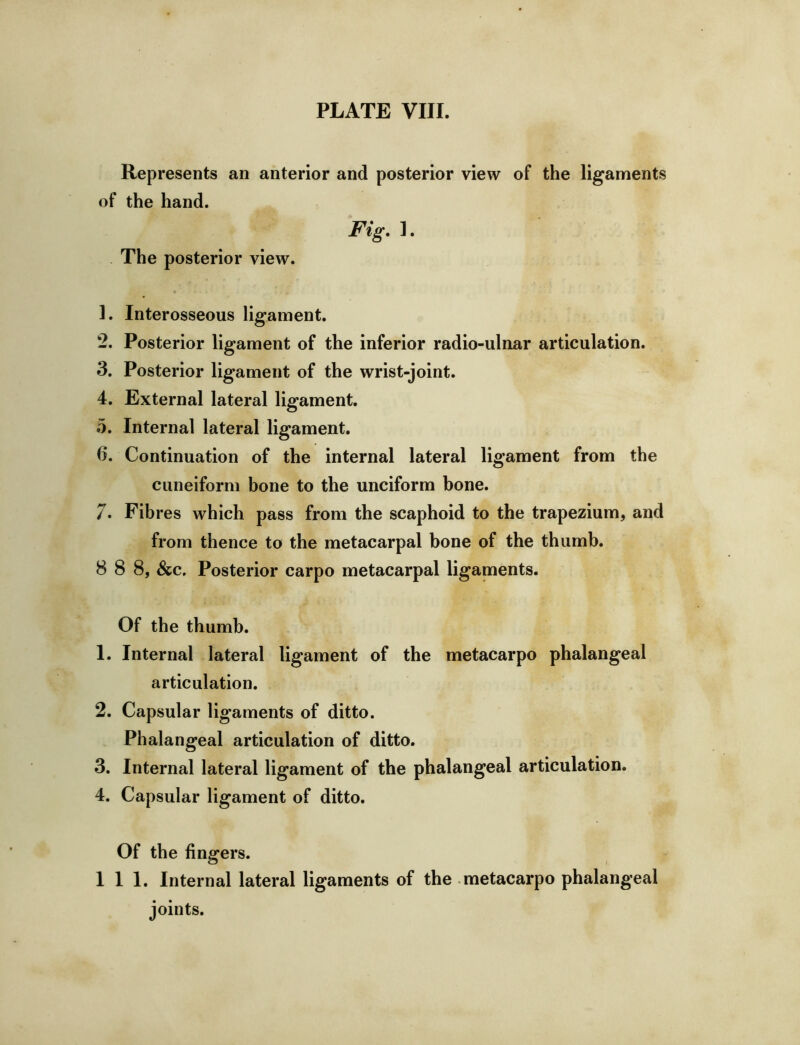 Represents an anterior and posterior view of the ligaments of the hand. Fig, ]. The posterior view. 1. Interosseous ligament. 2. Posterior ligament of the inferior radio-ulnar articulation. 3. Posterior ligament of the wrist-joint. 4. External lateral ligament. .5. Internal lateral ligament. 6. Continuation of the internal lateral ligament from the cuneiform bone to the unciform bone. 7. Fibres which pass from the scaphoid to the trapezium, and from thence to the metacarpal bone of the thumb. 8 8 8, &c. Posterior carpo metacarpal ligaments. Of the thumb. 1. Internal lateral ligament of the metacarpo phalangeal articulation. 2. Capsular ligaments of ditto. Phalangeal articulation of ditto. 3. Internal lateral ligament of the phalangeal articulation. 4. Capsular ligament of ditto. Of the fingers. 111. Internal lateral ligaments of the metacarpo phalangeal joints.