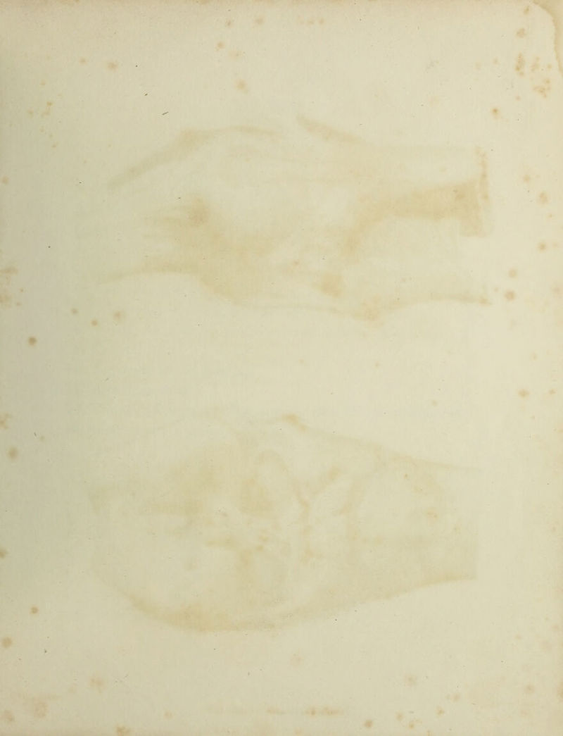 . t =.y ^ t * 1' ' ' ' ’’ *' ■'- .. f 4 ♦ 1/ ^' ' Ml 4 k ✓ I ,/3«' >j*' <• » r* ■ t ft . r> ^ -'ii Ll# > Z'' > 'J . Ml ' *■ • * 6- i • I- 41^ # '*•' '.T*