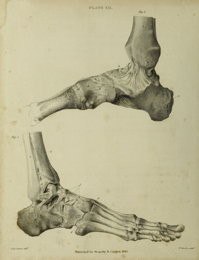 JfJiasire Jo?i7i ^7-avej tiel* Fublislied by BxansTsy B. Cooper, 1825.