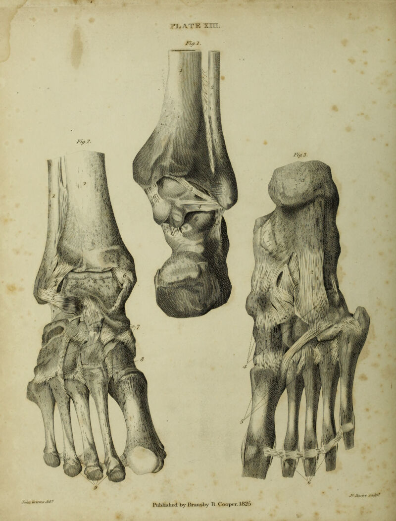 FI. ATE Xra Fi^.2. /o/m (rrfii'cjr d/22 PubKsliedTav Bransby Ti- Cooper, 1825