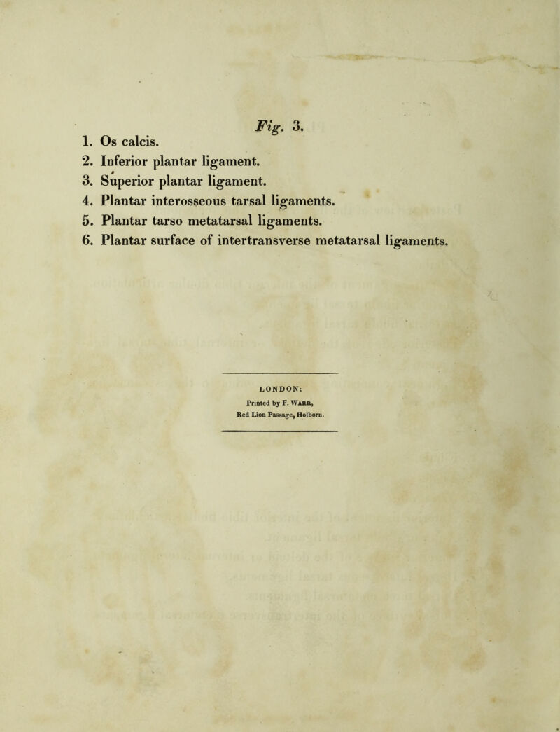 Fig, 3, 1. Os calcis. 2. Inferior plantar ligament. 3. Superior plantar ligament. 4. Plantar interosseous tarsal ligaments. 5. Plantar tarso metatarsal ligaments. 6. Plantar surface of intertransverse metatarsal ligaments. LONDON: Printed by F. Warr, Red Lion Passage, Holborn.