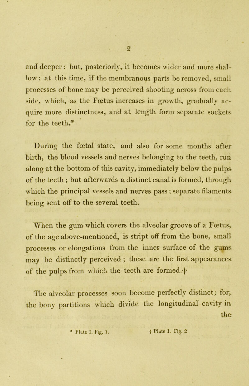 and deeper : but, posteriorly, it becomes wider and more shal- low; at this time, if the membranous parts be removed, small processes of bone may be perceived shooting across from each side, which, as the Foetus increases in growth, gradually ac- quire more distinctness, and at length form separate sockets for the teeth.* During the foetal state, and also for some months after birth, the blood vessels and nerves belonging to the teeth, run along at the bottom of this cavity, immediately below the pulps of the teeth ; but afterwards a distinct canal is formed, through which the principal vessels and nerves pass ; separate filaments being sent off to the several teeth. When the gum which covers the alveolar groove of a Foetus, of the age above-mentioned, is stript off from the bone, small processes or elongations from the inner surface of the gums may be distinctly perceived ; these are the first appearances of the pulps from which the teeth are formed.f The alveolar processes soon become perfectly distinct; for, the bony partitions which divide the longitudinal cavity in the