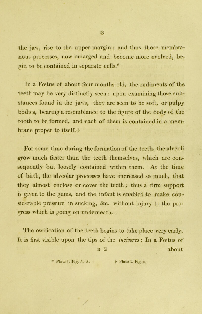 the jaw, rise to the upper margin ; and thus those membra- nous processes, now enlarged and become more evolved, be- gin to be contained in separate cells.* In a Foetus of about four months old., the rudiments of the teeth may be very distinctly seen ; upon examining those sub- stances found in the jaws, they are seen to be soft, or pulpy bodies, bearing a resemblance to the figure of the body of the tooth to be formed, and each of them is contained in a mem- brane proper to itself.-j- For some time during the formation of the teeth, the alveoli grow much faster than the teeth themselves, which are con- sequently but loosely contained within them. At the time of birth, the alveolar processes have increased so much, that they almost enclose or cover the teeth; thus a firm support is given to the gums, and the infant is enabled to make con- siderable pressure in sucking, &c. without injury to the pro- gress which is going on underneath. The ossification of the teeth begins to take place very early. It is first visible upon the tips of the incisores; In a Foetus of b 2 about