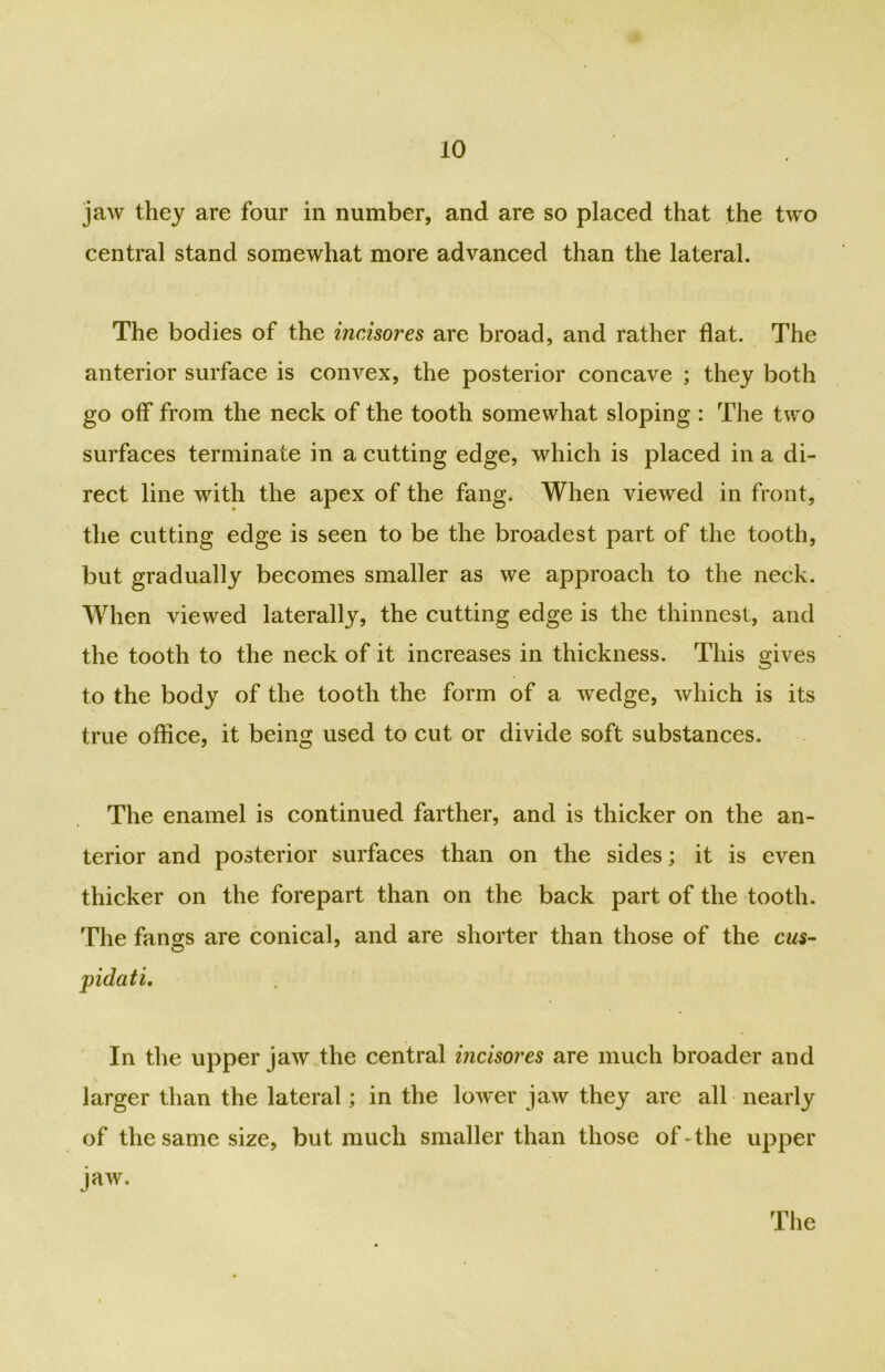 jaw they are four in number, and are so placed that the two central stand somewhat more advanced than the lateral. The bodies of the incisores are broad, and rather flat. The anterior surface is convex, the posterior concave ; they both go off from the neck of the tooth somewhat sloping : The two surfaces terminate in a cutting edge, which is placed in a di- rect line with the apex of the fang. When viewed in front, the cutting edge is seen to be the broadest part of the tooth, but gradually becomes smaller as we approach to the neck. When viewed laterally, the cutting edge is the thinnest, and the tooth to the neck of it increases in thickness. This gives to the body of the tooth the form of a wedge, which is its true office, it being used to cut or divide soft substances. The enamel is continued farther, and is thicker on the an- terior and posterior surfaces than on the sides; it is even thicker on the forepart than on the back part of the tooth. The fangs are conical, and are shorter than those of the cus- pidati. In the upper jaw the central incisores are much broader and larger than the lateral; in the lower jaw they are all nearly of the same size, but much smaller than those of-the upper jaw.