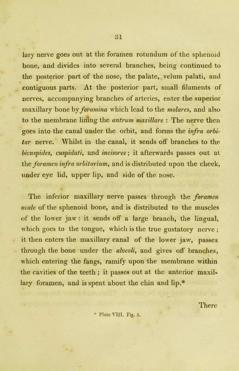 lary nerve goes out at the foramen rotundum of the splienoid bone, and divides into several branches, being continued to the posterior part of the nose, the palate, velum palati, and contiguous parts. At the posterior part, small filaments of nerves, accompanying branches of arteries, enter the superior maxillary bone by foramina which lead to the molares, and also to the membrane lining the antrum maxillare : The nerve then goes into the canal under the orbit, and forms the infra orbi- tar nerve. Whilst in the canal, it sends off branches to the bicuspides, cuspidati, and incisores; it afterwards passes out at the for amen infra orbit ariiim, and is distributed upon the cheek, under eye lid, upper lip, and side of the nose. The inferior maxillary nerve passes through the foramen ovale of the sphenoid bone, and is distributed to the muscles of the lower jaw: it sends off a large branch, the lingual, which goes to the tongue, which is the true gustatory nerve ; it then enters the maxillary canal of the lower jaw, passes through the bone under the alveoli, and gives oif branches, which entering the fangs, ramify upon the membrane within the cavities of the teeth ; it passes out at the anterior maxil- lary foramen, and is spent about the chin and lip.* There