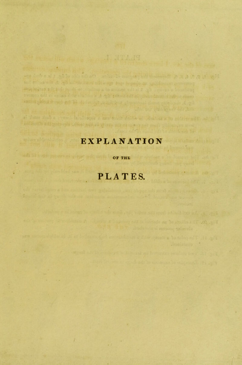 EXPLANATION OF THE PLATES. I