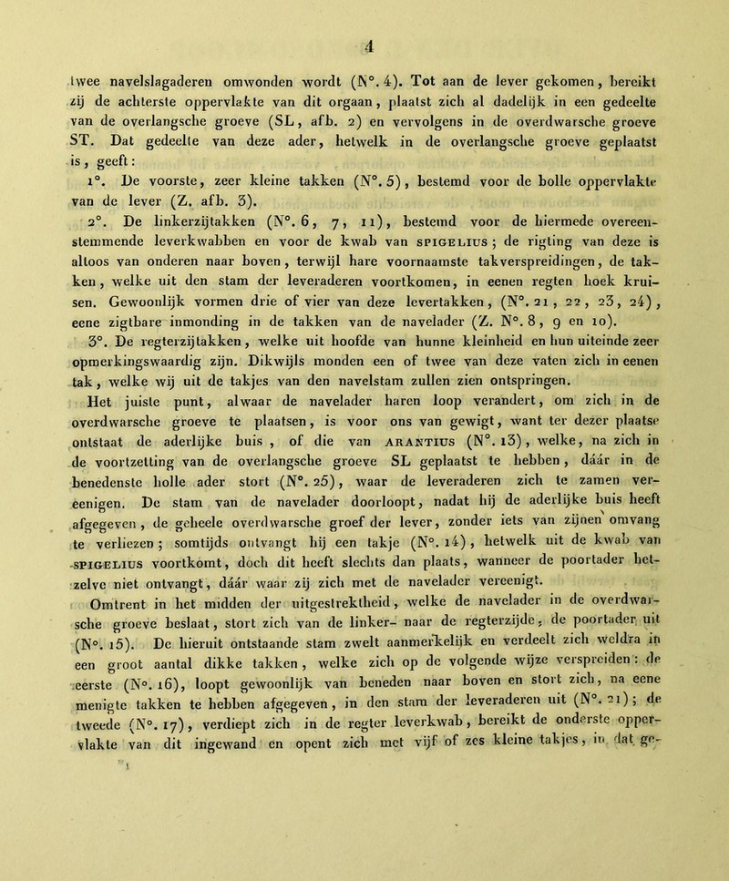 twee navelslagaderen omwonden wordt (JN°. 4). Tot aan de lever gekomen, bereikt zij de achterste oppervlakte van dit orgaan, plaatst zich al dadelijk in een gedeelte van de overlangsche groeve (SL , afb. 2) en vervolgens in de overdwarsche groeve ST. Dat gedeelte van deze ader, hetwelk in de overlangsche groeve geplaatst is , geeft : i°. De voorste, zeer kleine takken (N°. 5), bestemd voor de bolle oppervlakte van de lever (Z. afb. 3). 2°. De linkerzijtakken (N°. 6, 7, 11), bestemd voor de hiermede overeen- stemmende leverkwabben en voor de kwab van spigelius ; de rigting van deze is altoos van onderen naar boven, terwijl hare voornaamste tak verspreidingen, de tak- ken, welke uit den stam der leveraderen voortkomen, in eenen regten hoek krui- sen. Gewoonlijk vormen drie of vier van deze levertakken , (N°. 21, 22, 23, 24), eene zigtbare inmonding in de takken van de navelader (Z. N°. 8 , 9 en 10). 3°. De 1 egterzij takken , welke uit hoofde van hunne kleinheid en hun uiteinde zeer opmerkingswaardig zijn. Dikwijls monden een of twee van deze vaten zich in eenen tak, welke wij uit de takjes van den navelstam zullen zien ontspringen. Het juiste punt, alwaar de navelader haren loop verandert, om zich in de overdwarsche groeve te plaatsen, is voor ons van gewigt, want ter dezer plaatse ontstaat de aderlijke buis , of die van arANTIUS (N°. i3) , welke, na zich in de voortzetting van de overlangsche groeve SL geplaatst te hebben, daar in de benedenste holle ader stort (N°. 25), waar de leveraderen zich te zamen ver- eenigen, De stam van de navelader doorloopt, nadat hij de aderlijke buis heeft afgegeven, de geheele overdwarsche groef der lever, zonder iets van zijnen omvang te verliezen ; somtijds ontvangt hij een takje (N°. 14) , hetwelk uit de kwab van spiGELiius voortkomt, doch dit heeft slechts dan plaats, wanneer de poortader het- zelve niet ontvangt, daar waar zij zich met de navelader vereenigt. Omtrent in het midden der uitgestrektheid, welke de navelader in de overdwar- sche groeve beslaat, stort zich van de linker- naar de regterzijde, de poortader uit (N°. 15). De hieruit ontstaande stam zwelt aanmerkelijk en verdeelt zich weldra in een groot aantal dikke takken , welke zich op de volgende wijze verspreiden : de eerste (N°. 16), loopt gewoonlijk van beneden naar boven en stort zich, na eene menigte takken te hebben afgegeven, in den stam der leveraderen uit (N°. 21); de tweede (N°. 17)* verdiept zich in de regter leverkwab , bereikt de onderste opper- vlakte van dit ingewand en opent zich met vijf of zes kleine takjes, in dat ge-