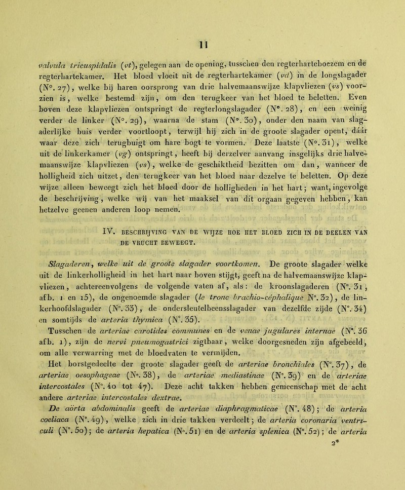 val vida tricuspidalis (vt), gelegen aan de opcning, iusschen den regterliarteboezèm en de regterhartekamer. liet bloed vloeit uit de regterhartekamer (vd) in de longslagader (N°. 27) , welke bij baren oorsprong van drie halvemaanswijze klapvliezen {vs) voor- zien is, welke bestemd zijn, om den terugkeer van bet bloed te beletten. Even boven deze klapvliezen ontspringt de reglerlongslagader (N°.28), en een Aveinig verder de linker (N°. 29), waarna de stam (N°.3o), onder den naam van slag- aderlijke buis verder voortloopt, terwijl bij zicli in de groote slagader opent, daar Avaar deze zicli terugbuigt om hare bogt te vormen. Deze laatste (N°.3i), welke uit de linkerkamer {vg) ontspringt, beeft bij derzelver aanvang insgelijks drie halve- maanswijze klapvliezen (es) , welke de geschiktheid bezitten om dan, wanneer de holligheid zich uitzet, den terugkeer van het bloed naar dezelve te beletten. Op deze wijze alleen beweegt zich het bloed door de holligheden in het hart; want, ingevolge de beschrijving, Avelke wij van het maaksel van dit orgaan gegeven hebben, kan hetzelve geenen anderen loop nemen. IV. BESCHRIJVING VAN DE WIJZE HOE ÏÏET BLOED ZICH IN DE DEELEN VAN DE VRUCHT BEWEEGT. Slagaderen, welke uit de groote slagader voortkomen. De groote slagader welke uit de linkerholligheid in het hart naar boven stijgt, geeft na de halvemaanswijze klap- vliezen , achtereenvolgens de volgende vaten af, als: de kroonslagaderen (N°. 3i , afb. i en i5), de ongenoemde slagader {le tronc brachio-céphalique N°. 32), de lin- kerhoofdslagader (N°. 33) , de ondersleutelbeensslagader van dezelfde zijde (N°. 34) en somtijds de arteria thymica (IN0.35). Tusschen de arteriae carotides communes en de venae jugulares internae (N*. 36 afb. 1), zijn de nervi pneuniogastrici zigtbaar, welke doorgesneden zijn afgebeeld, om alle verwarring met de bloedvaten te vermijden. Het borstgedeelte der groote slagader geeft de arteriae bronchiales (N°. 37) , de arteriae oesophageae (N°. 38), de arteriae mediastinae (N°. 3g) en de arteriae intercostales (N°. 4o tot 47). Deze acht takken hebben gemeenschap met de acht andere arteriae intercostales dextrae. De aorta abdominalis geeft de arteriae diaphragmaticae (N°. 48) ; de arteria coeliaca (N°. 4g) , welke zich in drie takken verdeelt ; de arteria coronaria ventri- culi (N°. 5o) ; de arteria hepatica (N°. 5i) en de arteria splenica (N°. 52) ; de arteria 2*