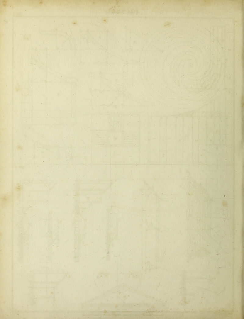 w ' ' .... * ■ ■■■• ' ■ ... ' • 4 ' ' ' ' * - . ‘ . •.. ’ mu i* ' .