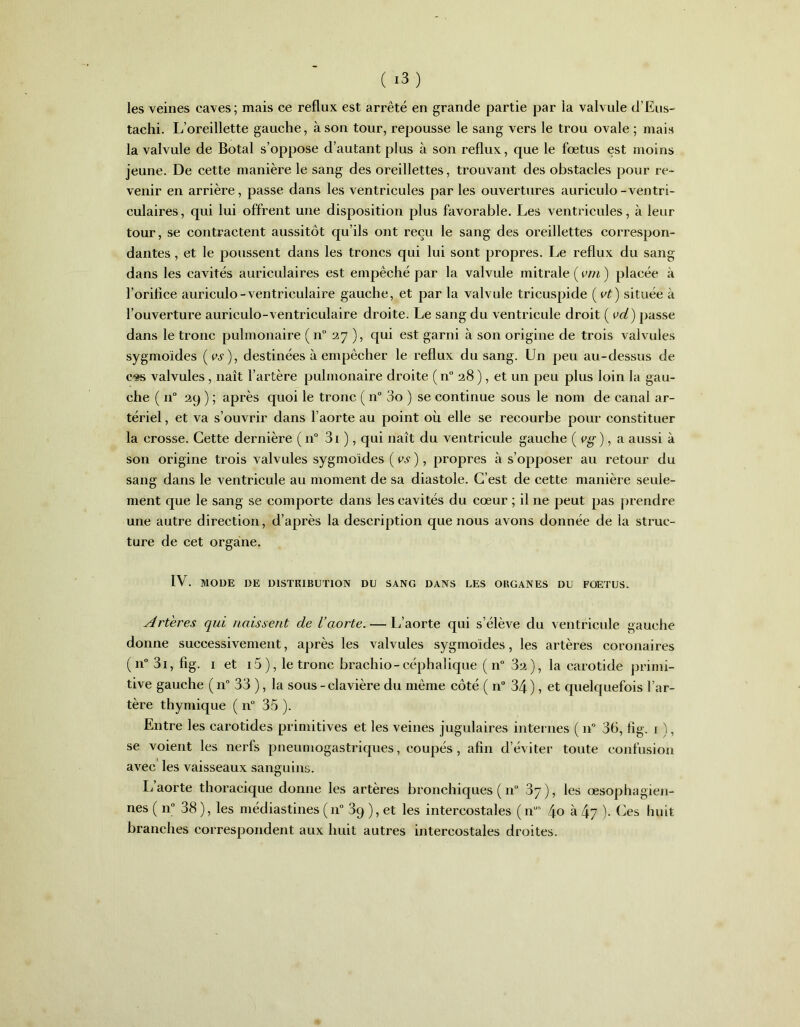 les veines caves; mais ce reflux est arrêté en grande partie par la valvule d’Eus- tachi. L’oreillette gauche, à son tour, repousse le sang vers le trou ovale ; mais la valvule de Botal s’oppose d’autant plus à son reflux, que le fœtus est moins jeune. De cette manière le sang des oreillettes, trouvant des obstacles pour re- venir en arrière, passe dans les ventricules par les ouvertures auriculo-ventri- culaires, qui lui offrent une disposition plus favorable. Les ventricules, à leur tour, se contractent aussitôt qu’ils ont reçu le sang des oreillettes correspon- dantes , et le poussent dans les troncs qui lui sont propres. Le reflux du sang dans les cavités auriculaires est empêché par la valvule mitrale ( vin ) placée à l'orifice auriculo-ventriculaire gauche, et par la valvule tricuspide ( vt) située à l’ouverture auriculo-ventriculaire droite. Le sang du ventricule droit ( vd) passe dans le tronc pulmonaire (n° 27 ), qui est garni à son origine de trois valvules sygmoides (vs), destinées à empêcher le reflux du sang. Un peu au-dessus de c-is valvules , naît l’artère pulmonaire droite (n° 28), et un peu plus loin la gau- che ( n° 29 ) ; après quoi le tronc ( n° 3o ) se continue sous le nom de canal ar- tériel , et va s’ouvrir dans l’aorte au point où elle se recourbe pour constituer la crosse. Cette dernière (n° 31 ), qui naît du ventricule gauche ( vg), a aussi à son origine trois valvules sygmoides ( vs ), propres à s’opposer au retour du sang dans le ventricule au moment de sa diastole. C’est de cette manière seule- ment que le sang se comporte dans les cavités du cœur ; il ne peut pas prendre une autre direction, d’après la description que nous avons donnée de la struc- ture de cet organe. IV. MODE DE DISTRIBUTION DU SANG DANS LES ORGANES DU FOETUS. Artères qui naissent de L’aorte. — L’aorte qui s’élève du ventricule gauche donne successivement, après les valvules sygmoides, les artères coronaires (n° 3i, fig. 1 et 15 ), le tronc brachio-céphalique ( n° 32), la carotide primi- tive gauche (n° 33 ), la sous-clavière du même côté ( n° 34), et quelquefois l’ar- tère thymique ( n° 35 ). Entre les carotides primitives et les veines jugulaires internes ( n° 36, lig. i ), se voient les nerfs pneumogastriques, coupés, afin d’éviter toute confusion avec les vaisseaux sanguins. L’aorte thoracique donne les artères bronchiques ( n° 37 ), les œsophagien- nes ( n° 38 ), les médiastines ( 110 39 ), et les intercostales ( nus 4o à L\q ). Ces huit branches correspondent aux huit autres intercostales droites.