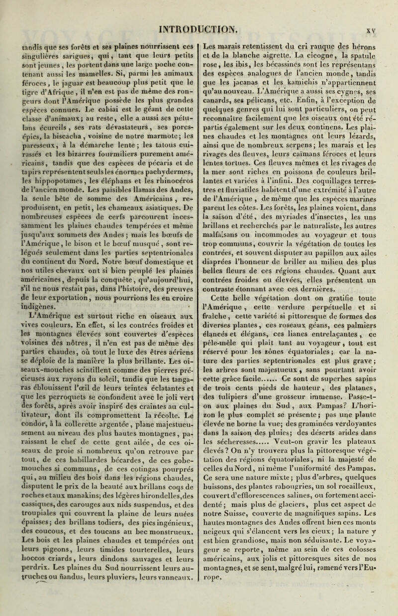 tandis que ses forêts et ses plaines nourrissent ces singulières sarigues, qui, tant que leurs petits sont jeunes , les portent dans une large poche con- tenant aussi les mamelles. Si, parmi les animaux féroces, le jaguar est beaucoup plus petit que le tigre d’Afrique , il n’en est pas de même des ron- geurs dont l’Amérique possède les plus grandes espèces connues. Le cabiai est le géant de celte classe d’animaux; au reste, elle a aussi ses pétu- lans écureils , ses rats dévastateurs, ses porcs- épics, la biscacha, voisine de notre marmote; les paresseux, à la démarche lente; les tatous cui- rassés et les bizarres fourmiliers purement amé- ricains, tandis que des espèces de pécaris et de tapirs représentent seuls les énormes pachydermes, les hippopotames, les éléphans et les rhinocéros de l’ancien monde. Les paisibles Hamas des Andes, la seule bête de somme des Américains , re- produisent, en petit, les chameaux asiatiques. De nombreuses espèces de cerfs parcourent inces- samment les plaines chaudes tempérées et même jusqu’aux sommets des Andes; mais les bœufs de l’Amérique, le bison et le bœuf musqué , sont re- légués seulement dans les parties septentrionales du continent du Nord. Notre bœuf domestique et nos utiles chevaux ont si bien peuplé les plaines américaines, depuis la conquête, qu’aujourd’hui, s’il ne nous restait pas, dans l’histoire, des preuves de leur exportation, nous pourrions les en croire indigènes. L’Amérique est surtout riche en oiseaux aux vives couleurs. En effet, si les contrées froides et les montagnes élevées sont couvertes d'espèces voisines des nôtres, il n’en est pas de même des parties chaudes, où tout le luxe des êtres aériens se déploie de la manière la plus brillante. Les oi- seaux-mouches scintillent comme des pierres pré- cieuses aux rayons du soleil, tandis que les tanga- ras éblouissent l’œil de leurs teintes éclatantes et que les perroquets se confondent avec le joli vert des forêts, après avoir inspiré des craintes au cul- tivateur, dont ils compromettent la récolte. Le condor, à la collerette argentée , plane majestueu- sement au niveau des plus hautes montagnes, pa- raissant le chef de cette gent ailée, de ces oi- seaux de proie si nombreux qu’on retrouve par tout, de ces babillardes bécardes, de ces gobe- mouches si communs, de ces cotingas pourprés qui, au milieu des bois dans les régions chaudes, disputent le prix de la beauté auxbrillans coqs de roches etaux manakins; des légères hirondelles,des cassiques, des carouges aux nids suspendus, et des troupiales qui couvrent la plaine de leurs nuées épaisses; des brillans todiers, des pics ingénieux, des coucous, et des toucans au bec monstrueux. Les bois et les plaines chaudes et tempérées ont leurs pigeons, leurs timides tourterelles, leurs lioccos criards, leurs dindons sauvages et leurs perdrix. Les plaines du Sud nourrissent leurs au- truches ou nandus, leurs pluviers, leurs vanneaux. Les marais retentissent du cri rauque des hérons et de la blanche aigrette. La cicogne, la spatule rose, les ibis, les bécassines sont les représentans des espèces analogues de l’ancien monde, tandis gué les jacanas et les kamichis n’appartiennent qu’au nouveau. L’Amérique a aussi ses cygnes, ses canards, ses pélicans, etc. Enfin, à l’exception de quelques genres qui lui sont particuliers, on peut reconnaître facilement que les oiseaux ont été ré- partis également sur les deux continens. Les plai- nes chaudes et les montagnes ont leurs lézards, ainsi que de nombreux serpens ; les marais et les rivages des fleuves, leurs caïmans féroces et leurs lentes tortues. Ces fleuves mêmes et les rivages de la mer sont riches en poissons de couleurs bril- lantes et variées à l’infini. Des coquillages terres- tres et fluviatiles habitent d’une extrémité à l’autre de l’Amérique , de même que les espèces marines parent les côtes. Les forêts, les plaines voient, dans la saison d’été, des myriades d’insectes, les uns brillans et recherchés par le naturaliste, les autres nialfalsans ou incommodes au voyageur et tous trop communs, couvrir la végétation de toutes les contrées, et souvent disputer au papillon aux ailes diaprées l’honneur de briller au milieu des plus belles fleurs de ces régions chaudes. Quant aux contrées froides ou élevées, elles présentent un contraste étonnant avec ces dernières. Cette belle végétation dont on gratifie toute l’Amérique , celte verdure perpétuelle et si fraîche, cette variété si pittoresque de formes des diverses plantes , ces roseaux géans, ces palmiers élancés et élégans, ces lianes entrelaçantes , ce pêle-mêle qui plaît tant au voyageur , tout est réservé pour les zones équatoriales ; car la na- ture des parties septentrionales est plus grave ; les arbres sont majestueux, sans pourtant avoir cette grâce facile Ce sont de superbes sapins de trois cents pieds de hauteur, des platanes, des tulipiers d’une grosseur immense. Passe-t- on aux plaines du Sud , aux Pampas? L’hori- zon le plus complet se présente ; pas une plante élevée ne borne la vue; des graminées verdoyantes dans la saison des pluies; des déserts arides dans les sécheresses Veut-on gravir les plateaux élevés ? On n’y trouvera plus la pittoresque végé- tation des régions équatoriales, ni la majesté de celles du Nord, ni même l’uniformité des Pampas. Ce sera une nature mixte ; plus d’arbres, quelques buissons, des plantes rabougries, un sol rocailleux, couvert d’efflorescences salines, ou fortement acci- denté ; mais plus de glaciers, plus cet aspect de notre Suisse, couverte de magnifiques sapins. Les hautes montagnes des Andes offrent bien ces monts neigeux qui s’élancent vers les deux; la nature y est bien grandiose, mais non séduisante. Le voya- geur se reporte, même au sein de ces colosses américains, aux jolis et pittoresques sites de nos montagnes, et se sent, malgré lui, ramené vers l’Eu- rope.
