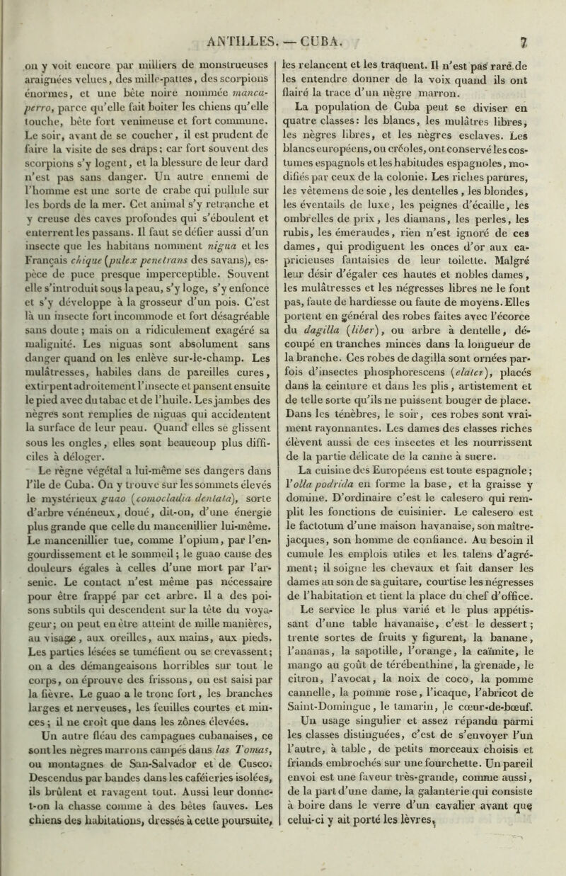 on y voit encore par milliers de monstrueuses araignées velues, des mille-pattes, des scorpions énormes, et une bête noire nommée manca- perro, parce qu’elle fait boiter les chiens qu’elle touche, bète fort venimeuse et fort commune. Le soir, avant de se coucher, il est prudent de faire la visite de ses draps ; car fort souvent des scorpions s’y logent, et la blessure de leur dard n’est pas sans danger. Un autre ennemi de l’homme est une sorte de crabe qui pullule sur les bords de la mer. Cet animal s’y retranche et y creuse des caves profondes qui s’éboulent et enterrent les passans. Il faut se défier aussi d’un insecte que les habitans nomment nigua et les Français chique (pulex penelrans des savans), es- pèce de puce presque imperceptible. Souvent elle s’introduit sous la peau, s’y loge, s’y enfonce et s’y développe à la grosseur d’un pois. C’est là un insecte fort incommode et fort désagréable sans doute ; mais on a ridiculement exagéré sa malignité. Les niguas sont absolument sans danger quand on les enlève sur-le-champ. Les mulâtresses, habiles dans de pareilles cures, extirpent adroitement l’insecte et pansent ensuite le pied avec du tabac et de l’huile. Les jambes des nègres sont remplies de niguas qui accidentent la surface de leur peau. Quand elles se glissent sous les ongles, elles sont beaucoup plus diffi- ciles à déloger. Le règne végétal a lui-même ses dangers dans l’ile de Cuba. On y trouve sur les sommets élevés le mystérieux guao (comocladia denlala), sorte d’arbre vénéneux, doué, dit-on, d’une énergie plus grande que celle du mancenillier lui-même. Le mancenillier tue, comme l’opium, par l’en- gourdissement et le sommeil ; le guao cause des douleurs égales à celles d’une mort par l’ar- senic. Le contact n’est même pas nécessaire pour être frappé par cet arbre. Il a des poi- sons subtils qui descendent sur la tète du voya- geur; on peut en être atteint de mille manières, au visage, aux oreilles, aux mains, aux pieds. Les parties lésées se tuméfient ou se crevassent ; on a des démangeaisons horribles sur tout le corps, on éprouve des frissons, on est saisi par la fièvre. Le guao a le tronc fort, les branches larges et nerveuses, les feuilles courtes et min- ces ; il ne croit que dans les zones élevées. Un autre fléau des campagnes cubanaises, ce sont les nègres marrons campés dans las 7'ornas, ou montagnes de San-Salvador et de Cusco. Descendus par bandes dans les caféieries isolées, ils brûlent et ravagent tout. Aussi leur donne- t-on la chasse comme à des bêtes fauves. Les chiens des habitations, dressés à cette poursuite, les relancent et les traquent. Il n'est pas rare de les entendre donner de la voix quand ils ont flairé la trace d’un nègre marron. La population de Cuba peut se diviser en quatre classes: les blancs, les mulâtres libres, les nègres libres, et les nègres esclaves. Les blancs européens, ou créoles, ont conservé les cos- tumes espagnols et les habitudes espagnoles, mo- difiés par ceux de la colonie. Les riches parures, les vètemens de soie , les dentelles , les blondes, les éventails de luxe, les peignes d’écaille, les ombrelles de prix, les diamans, les perles, les rubis, les émeraudes, rien n’est ignoré de ces dames, qui prodiguent les onces d’or aux ca- pricieuses fantaisies de leur toilette. Malgré leur désir d’égaler ces hautes et nobles dames, les mulâtresses et les négresses libres ne le font pas, faute de hardiesse ou faute de moyens. Elles portent en général des robes faites avec l’écorce du dagilla (liber), ou arbre à dentelle, dé- coupé en tranches minces dans la longueur de la branche. Ces robes de dagilla sont ornées par- fois d’insectes phosphorescens (ela 1er), placés dans la ceinture et dans les plis, artistement et de telle sorte qu’ils ne puissent bouger de place. Dans les ténèbres, le soir, ces robes sont vrai- ment rayonnantes. Les dames des classes riches élèvent aussi de ces insectes et les nourrissent de la partie délicate de la canne à sucre. La cuisine des Européens est toute espagnole ; Voila podrida en forme la base, et la graisse y domine. D’ordinaire c’est le calesero qui rem- plit les fonctions de cuisinier. Le calesero est le factotum d’une maison havanaise, son maître- jacques, son homme de confiance. Au besoin il cumule les emplois utiles et les talens d’agré- ment ; il soigne les chevaux et fait danser les dames au son de sa guitare, courtise les négresses de l’habitation et lient la place du chef d’office. Le service le plus varié et le plus appétis- sant d’une table havanaise, c’est le dessert; trente sortes de fruits y figurent, la banane, l’ananas, la sapotille, l’orange, la caïmite, le mango au goût de térébenthine, la grenade, le citron, l’avocat, la noix de coco, la pomme cannelle, la pomme rose, l’icaque, l’abricot de Saint-Domingue, le tamarin, le cœur-de-bœuf. Un usage singulier et assez répandu parmi les classes distinguées, c’est de s’envoyer l’un l’autre, à table, de petits morceaux choisis et friands embrochés sur une fourchette. Un pareil envoi est une faveur très-grande, comme aussi, de la part d’une dame, la galanterie qui consiste à boire dans le verre d’un cavalier ayant que celui-ci y ait porté les lèvres.