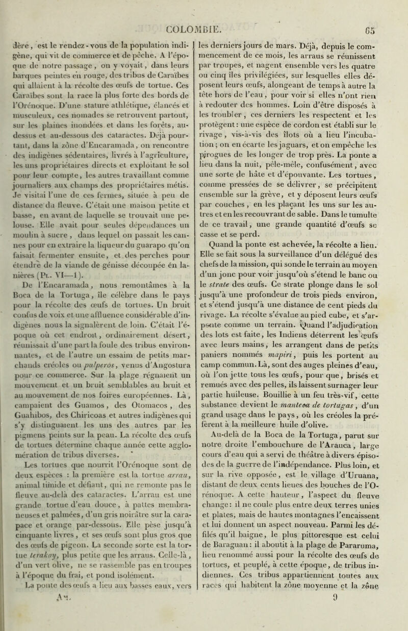 «1ère, est le rendez - vous de la population indi- gène, qui vit de commerce et de pèche. A l’épo- que de noire passage, on y voyait, dans leurs barques peintes eu rouge, des tribus de Caraïbes qui allaient à la récolte des œufs de tortue. Ces Caraïbes sont la race la plus forte des bords de l’Orénoque. D’une stature athlétique, élancés et musculeux, ces nomades se retrouvent partout, sur les plaines inondées et dans les forêts, au- dessus et au-dessous des cataractes. Déjà pour- tant, dans la zone d’Encaramada, on rencontre des indigènes sédentaires, livrés à l’agriculture, les uns propriétaires directs et exploitant le sol pour leur compte, les autres travaillant comme journaliers aux champs des propriétaires métis. Je visitai l’une de ces fermes, située à peu de distance du fleuve. C’était une maison petite et basse, en avant de laquelle se trouvait une pe- louse. Elle avait pour seules dépendances un moulin à sucre , dans lequel on passait les can- nes pour en extraire la liqueur du guarapo qu’on faisait fermenter ensuite, et des perches pour étendre de la viande de génisse découpée én la- nières (Pl. VI—1 ). De l’Encaramada, nous remontâmes à la Boca de la Tortuga, île célèbre dans le pays pour la récolte des œufs de tortues. Un bruit confus de voix et une affluence considérable d’in- digènes nous la signalèrent de loin. C’était l’é- poque où cet endroit, ordinairement desert, réunissait d’une part la foule des tribus environ- nantes, et de l’autre un essaim de petits mar- chands créoles ou pu/peros, venus d’Angostura pour ce commerce. Sur la plage régnaient un mouvement et un bruit semblables au bruit et au mouvement de nos foires européennes. Là, campaient des Guamos, des Otomacos , des Gualnbos, des Chiricoas et autres indigènes qui s’y distinguaient les uns des autres par les pigmens peints sur la peau. La récolte des œufs de tortues détermine chaque année celte agglo- mération de tribus diverses. Les tortues que nourrit l’Orénoque sont de deux espèces : la première est la tortue arrau, animal timide et défiant, qui ne remonte pas le fleuve au-delà des cataractes. L’arrau est une grande tortue d’eau douce , à pattes membra- neuses et palmées, d’un gris noirâtre sur la cara- pace et orange par-dessous. Elle pèse jusqu’à cinquante livres , et ses œufs sont plus gros que des œufs de pigeon. La seconde sorte est la tor- tue lerakarj, plus petite que les arraus. Celle-là , d’un vert olive, ne se rassemble pas en troupes à l’époque du frai, et pond isolément. La ponte des œufs a lieu aux basses eaux, vers Am. les derniers jours de mars. Déjà, depuis le com- mencement de ce mois, les arraus se réunissent par troupes, et nagent ensemble vers les quatre ou cinq îles privilégiées, sur lesquelles elles dé- posent leurs œufs, alongeant de temps à autre la tête hors de l’eau , pour voir si elles n’ont rien à redouter des hommes. Loin d’être disposés à les troubler, ces derniers les respectent et les protègent : une espèce de cordon est établi sur le rivage , vis-à-vis des îlots où a lieu l’incuba- tion ; on en écarte les jaguars, et on empêche les pjrogues de les longer de trop près. La ponte a lieu dans la nuit, pêle-mêle, confusément, avec une sorte de bâte et d’épouvante. Les tortues , comme pressées de se délivrer, se précipitent ensemble sur la grève, et y déposent leurs œufs par couches , en les plaçant les uns sur les au- tres et en les recouvrant de sable. Dans le tumulte de ce travail, une grande quantité d’œufs se casse et se perd. Quand la ponte est achevée, la récolte a lieu. Elle se fait sous la surveillance d’un délégué des chefs de la mission, qui sonde le terrain au moyen d’un jonc pour voir jusqu’où s’étend le banc ou le strate des œufs. Ce strate plonge dans le sol jusqu’à une profondeur de trois pieds environ, et s’étend jusqu’à une distance de cent pieds du rivage. La récolte s’évalue au pied cube, et s’ar- pc-flite comme un terrain. Quand l’adjudication des lots est faite, les Indiens déterrent lesVgufs avec leurs mains, les arrangent dans de petits paniers nommés mapiri, puis les portent au camp commun. Là, sont des auges pleines d’eau, où l’on jette tous les œufs, pour que, brisés et remués avec des pelles, ils laissent surnager leur partie huileuse. Bouillie à un feu très-vif, cette substance devient le manteoa de tortugas , d’un grand usage dans le pays , où les créoles la pré- fèrent à la meilleure huile d’olive. Au-delà de la Boca de la Tortuga, parut sur notre droite l’embouchure de l’Arauca, large cours d’eau qui a servi de théâtre à divers épiso- des de la guerre de l’indépendance. Plus loin, et sur la rive opposée, est le village d’Uruana, distant de deux cents lieues des bouches de l’O- rénoque. A cette hauteur, l’aspect du fleuve change: il ne coule plus entre deux terres unies et piales, mais de hautes montagnes l’encaissent et lui donnent un aspect nouveau. Parmi les dé- filés qu’il baigne, le plus pittoresque est celui de Baraguan: il aboutit à la plage de Pararuma, lieu renommé aussi pour la récolte des œufs de tortues, et peuplé, à cette époque, de tribus in- diennes. Ces tribus appartiennent toutes aux races qui habitent la zone moyenne et la zone, 9