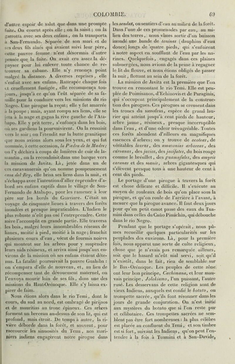 d’autre espoir île salut que dans une prompte fuite. On courut après elle ; on la saisit ; on la garrotta avec ses deux enfans, on la transporta à San-Fernando. Séparée de son mari et de ses deux fils aînés qui avaient suivi leur père, celle pauvre femme n’eut désormais d’autre pensée quq la fuite. On avait cru assez la dé- payser pour lui enlever toute chance de re- trouver sa cabane. Elle n’y renonça point malgré la distance. A diverses reprises , elle s’enfuit avec ses enfans. Rattrapée chaque fois et cruellement fustigée, elle recommença tou- jours, jusqu’à ce qu’on l’eût séparée de sa fa- mille pour la conduire vers les missions du rio \cgro. Une pirogue la reçut; elle y fut amarrée à la poupe ; mais, ayant rompu ses liens, elle se jeta à la nage et gagna la rive gauche de l’Ala- bapo. Elle y prit terre, s’enfonça dans les bois, où ses gardiens la poursuivirent. On la ressaisit vers le soir; on l’étendit sur la hutte granitique que nous avions alors sous les yeux, et qui fut nommée, à cette occasion, la Piedra de la Madré; on l’y déchira à coups de lanières de cuir de la- mantin , on la reconduisit dans une barque vers la mission de Javita. Là, jetée dans un de ces caravanserais qu’on nomme pompeusement casa dtl Rexj, elle brisa ses liens dans la nuit, et s’échappa avec l’intention d’aller reprendre d’a- bord ses enfans captifs dans le village de San- Fernando de Atabapo, pour les ramener à leur père sur les bords du Guaviare. C’était un voyage de cinquante lieues à travers des forets inondées et presque impraticables. L’Indien le plus robuste n’eût pas osé l’entreprendre. Cette mère l’accomplit en grande partie. Elle traversa les bois, malgré leurs innombrables réseaux de lianes, moitié à pied, moitié à la nage; franchit plusieurs cours d’eau , vécut de fourmis noires qui monteut sur les arbres pour y suspendre leurs nids résineux, et arriva ainsi jusqu’aux en- virons de la mission où ses enfans étaient déte- nus. La fatalité poursuivait la pauvre Guahiba : on s’empara d’elle de nouveau, et, au lieu de récompenser tant de dévouement maternel, on l’envoya mourir loin de ses fils, dans une des missions du Haut-Orénoque. Elle s’y laissa ex- pirer de faim. Nous étions alors dans le rio Terni, dont le cours, du sud au nord, est ombragé de pirijaos et de mauritias au tronc épineux. Ces arbres forment un berceau au-dessus de son lit, qui est profond, mais étroit. De temps à autre, la ri- vière déborde dans la forêt, et souvent, pour raccourcir les sinuosités du Terni , nos mari- niers indiens engagèrent notre pirogue dans les sendas, ou sentiers d’eau au milieu de la forêt. Dans l’une de ces promenades par eau, au mi- lieu des terres , nous vîmes sortir d’un buisson inondé une bande de loninas (dauphins d’eau douce) longs de 'quatre pieds, qui s’enfuirent à notre aspect en soufflant de l’eau par les na- rines. Quelquefois , engagés dans ces plaines submergées, nous avions de la peine à regagner le lit du fleuve, et nous étions obligés de passer la nuit, flottant au sein de la forêt. La mission de Javita est la première que l’on trouve en remontant le rio Terni. Elle est peu- plée de Poimisanos, d’Echinovis et de Paraginis, qui s’occupent principalement de la construc- tion des pirogues. Ces pirogues se creusent dans les troncs du sassafras, espèce de grand lau- rier qui atteint jusqu’à cent pieds de hauteur, arbre jaune , résineux , presque incorruptible dans l’eau , et d’une odeur très-agréable. Toutes ces forêts abondent d’ailleurs en magnifiques essences d’arbres; on y trouve de ocoteas, de véritables /auras, des amazonias arboreas, des curvanas, des jacios, des jacifates, du bois rouge comme le brésillet, des guàmafales, des amyris caranas et des manis, arbres gigantesques qui s’élèvent presque tous à une hauteur de cent à cent dix pieds. Le portage d’une pirogue à travers la forêt est chose délicate et difficile. Il s’exécute au moyen de rouleaux de bois qu’on place sous la pirogue, et qu’on roule de l’arrière à l’avant, à mesure que la pirogue avance. Il faut deux jours pour qu’un petit canot passe des eaux du Tua- mini dans celles du Caüo Pimichin, qui débouche dans le rio Negro. Pendant que le portage s’opérait, nous pû- mes recueillir quelques particularités sur les peuplades des environs. Là, pour la première fois, nous apparut une sorte de culte religieux, chose que je n’avais pas remarquée ailleurs, soit que le hasard m’eût mal servi, soit qu’il n’existât, dans le fait, rien de semblable sur le Bas-Orénoque. Les peuples de cette zône.i ont leur bon principe, Cachimana, et leur mau- vais principe , Jolokiamo, l’un puissant, l’autre rusé. Les desservans de cette religion sont de vieux Indiens, auxquels est confié le botuto, ou trompette sacrée, qu’ils font résonner dans les jours de grande conjuration. On n’est initié aux mystères du botuto que si l’on reste pur et célibataire. Ces trompettes sacrées ne sem- blent pas être fort nombreuses : la plus célèbre est placée au confluent du Terni, et son timbre est si fort, suivant les Indiens, qu’on peut l’en- tendre à la fois à Tuamini et à San-Davide,