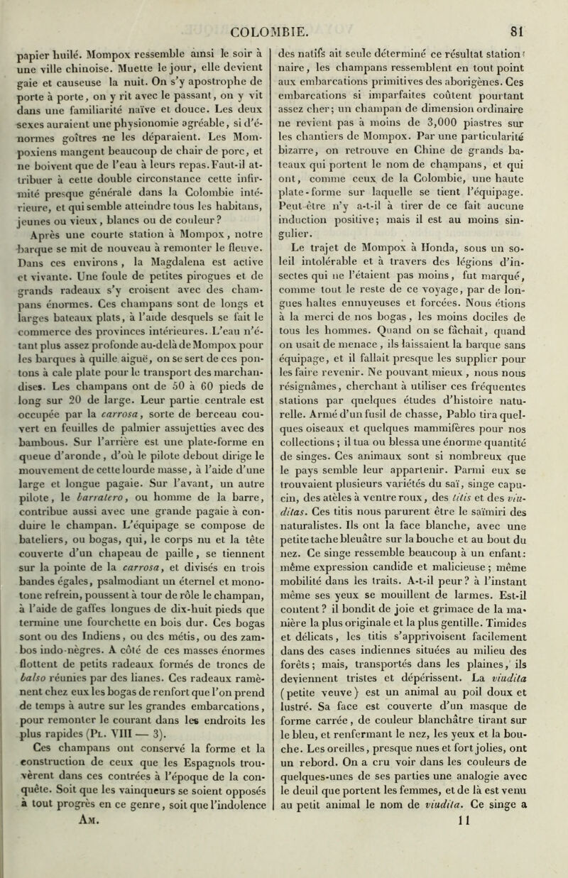 papier huilé. Mompox ressemble ainsi le soir à une ville chinoise. Muette le jour, elle devient gaie et causeuse la nuit. On s’y apostrophe de porte à porte, on y rit avec le passant, on y vit dans une familiarité naïve et douce. Les deux sexes auraient une physionomie agréable, si d'é- normes goitres ne les déparaient. Les Mom- poxiens mangent beaucoup de chair de porc, et ne boivent que de l’eau à leurs repas. Faut-il at- tribuer à cette double circonstance cette infir- mité presque générale dans la Colombie inté- rieure, et qui semble atteindre tous les habitans, jeunes ou vieux, blancs ou de couleur? Après une courte station à Mompox, notre barque se mit de nouveau à remonter le fleuve. Dans ces environs , la Magdalena est active et vivante. Une foule de petites pirogues et de grands radeaux s’y croisent avec des cham- pans énormes. Ces champans sont de longs et larges bateaux plats, à l’aide desquels se fait le commerce des provinces intérieures. L’eau n’é- tant plus assez profonde au-delà de Mompox pour les barques à quille aiguë, on se sert de ces pon- tons à cale plate pour le transport des marchan- dises. Les champans ont de 50 à 60 pieds de long sur 20 de large. Leur partie centrale est occupée par la carrosa, sorte de berceau cou- vert en feuilles de palmier assujetties avec des bambous. Sur l’arrière est une. plate-forme en queue d’aronde, d’où le pilote debout dirige le mouvement de cette lourde masse, à l’aide d’une large et longue pagaie. Sur l’avant, un autre pilote, le larralero, ou homme de la barre, contribue aussi avec une grande pagaie à con- duire le champan. L’équipage se compose de bateliers, ou bogas, qui, le corps nu et la tête couverte d’un chapeau de paille, se tiennent sur la pointe de la carrosa, et divisés en trois bandes égales, psalmodiant un éternel et mono- tone refrein, poussent à tour de rôle le champan, à l’aide de gaffes longues de dix-huit pieds que termine une fourchette en bois dur. Ces bogas sont ou des Indiens, ou des métis, ou des zam- bos indo-nègres. A côté de ces masses énormes flottent de petits radeaux formés de troncs de lalso réunies par des lianes. Ces radeaux ramè- nent chez eux les bogas de renfort que l’on prend de temps à autre sur les grandes embarcations, pour remonter le courant dans les endroits les plus rapides (Pl. VIII — 3). Ces champans ont conservé la forme et la construction de ceux que les Espagnols trou- vèrent dans ces contrées à l’époque de la con- quête. Soit que les vainqueurs se soient opposés à tout progrès en ce genre, soit que l’indolence Am. des natifs ait seule déterminé ce résultat station ? naire, les champans ressemblent, en tout point aux embarcations primitives des aborigènes. Ces embarcations si imparfaites coûtent pourtant assez cher; un champan de dimension ordinaire ne revient pas à moins de 3,000 piastres sur les chantiers de Mompox. Par une particularité bizarre, on retrouve en Chine de grands ba- teaux qui portent le nom de champans, et qui ont, comme ceux de la Colombie, une haute plate-forme sur laquelle se lient l’équipage. Peul être n’y a-t-il à tirer de ce fait aucune induction positive; mais il est au moins sin- gulier. Le trajet de Mompox à Honda, sous un so- leil intolérable et à travers des légions d’in- sectes qui ne l’étaient pas moins, fut marqué, comme tout le reste de ce voyage, par de lon- gues haltes ennuyeuses et forcées. Nous étions à la merci de nos bogas, les moins dociles de tous les hommes. Quand on se fâchait, quand on usait de menace , ils laissaient la barque sans équipage, et il fallait presque les supplier pour les faire revenir. Ne pouvant mieux , nous nous résignâmes, cherchant à utiliser ces fréquentes stations par quelques études d’histoire natu- relle. Armé d’un fusil de chasse, Pablo tira quel- ques oiseaux et quelques mammifères pour nos collections ; il tua ou blessa une énorme quantité de singes. Ces animaux sont si nombreux que le pays semble leur appartenir. Parmi eux se trouvaient plusieurs variétés du saï, singe capu- cin, des atèles à ventre roux, des titis et des viu- ditas. Ces titis nous parurent être le saïmiri des naturalistes. Ils ont la face blanche, avec une petite tache bleuâtre sur la bouche et au bout du nez. Ce singe ressemble beaucoup à un enfant: même expression candide et malicieuse ; même mobilité dans les traits. A-t-il peur? à l’instant même ses yeux se mouillent de larmes. Est-il content ? il bondit de joie et grimace de la ma- nière la plus originale et la plus gentille. Timides et délicats, les titis s’apprivoisent facilement dans des cases indiennes situées au milieu des forêts ; mais, transportés dans les plaines, ils deviennent tristes et dépérissent. La viudila ( petite veuve } est un animal au poil doux et lustré. Sa face est couverte d’un masque de forme carrée, de couleur blanchâtre tirant sur le bleu, et renfermant le nez, les yeux et la bou- che. Les oreilles, presque nues et fort jolies, ont un rebord. On a cru voir dans les couleurs de quelques-unes de ses parties une analogie avec le deuil que portent les femmes, et de là est venu au petit animal le nom de viudila. Ce singe a 11