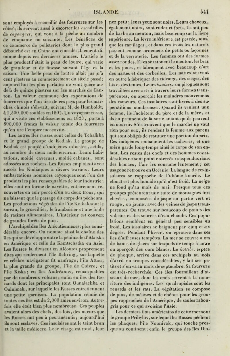 sont employés à recueillir des fourrures sur les côtes ; ils servent aussi à escorter les escadrilles de cayouques, qui vont à la pèche au nombre de cinquante ou soixante. Les bénéfices de ce commerce de pelleteries dont le plus grand débouché est en Chine ont considérablement di- minué depuis ces dernières années. L’article le plus productif était la peau de loutre, qui varie de grandeur et de finesse suivant l’âge et la saison. Une belle peau de loutre allait jus |u’à cent piastres au commencement du siècle passé; aujourd hui les plus parfaites ne vont guère au- delà de quinze piastres sur les marchés de Can- ton. La valeur commune des exportations de fourrures que l’on tire de ces pays pour les mar- chés chinois s’élevait, suivant M. de Humboldt, à 1,500,000 roubles en 1802. Un voyageur russe, qui a visité ces élablissemens en 1823, porte à 800,000 francs la valeur totale des fourrures qu’en tire l’empire moscovite. Les autres îles russes sont celles de Tchalkha et le grand groupe de Kudiak. Le groupe de Kodiak est peuplé d’indigènes robustes , actifs, au nombre de deux mille environ. Leurs habi- tations, moitié cavernes , moitié cabanes , sont adossées aux rochers. Les Russes emploient avec succès les Kodiaques à divers travaux. Leurs embarcations nommées cayouques sont l’un des produits les plus remarquables de leur industrie ; elles sont en forme de navette, entièrement re- couvertes en cuir percé d’un ou deux trous, qui ne laissent que le passage du corps des pécheurs. Les productions végétales de l’ile Kodiak sont le sureau, le groseillier, le framboisier et une foule de racines alimentaires. L’intérieur est couvert de grandes forêts de pins. L’archipeldes îles Aléoutiennesest plus consi- dérable encore. On nomme ainsi la chaîne des îles qui sc développe entre la péninsule d’Alatska en Amérique el celle du Kamtschalka en Asie. Les Russes la divisent en Aléoutes proprement dites qui renferment l’île Behring, sur laquelle ce célébré navigateur fit naufrage; l’île Attou, la plus grande du groupe, l’ile de Cuivre, et l’île Kiska; en îles Audréanov, remarquables par de nombreux volcans ; enfin en îles des Pie- nards dont les principales sont Ounalaehka et Ouinimak , sur laquelle les Russes entretiennent une petite garnison. La population réunie de toutes ces îles est de 2,000 âmes environ. Autre- fois elle était bien plus nombreuse. Ces peuples avaient alors des chefs, des lois, des mœurs que les Russes ont peu à peu anéantis; aujourd’hui ils sont esclaves. Ces insulaires ont le teint brun et la taille médiocre. Leur visage est rond , leur nez petit ; leurs yeux sont noirs. Leurs cheveux, également noirs, sont rudes et forts. Us ont peu de barbe au menton, mais beaucoup sur la lèvre supérieure. La lèvre inférieure est percée, ainsi que les cartilages , et dans ces trous les naturels passent comme ornemens de petits os façonnés et de la verroterie. Les femmes ont des formes assez rondes. El es se tatouent le menton, les bras et les joues, et fabriquent avec beaucoup d’art des nattes et des corbeilles. Les nattes servent en outre à fabriquer des rideaux , des sièges, des lits et des tentes. Leurs b a ici are* ou pirogues sont travaillées avec art ; à travers leurs formes ti ans- parentes, ou aperçoit les moindres mouvemens des rameurs. Ces insulaires sont livrés à des su- perstitions nombreuses. Quand ils veulent une femme, ils l’achètent du père et de la mère, et ils en prennent de la sorte autant qu’ils peuvent en nourrir. S’ils trouvent que le marché ne vaut rien pour eux, ils rendent la femme aux parens qui sont obligés de restituer une portion du prix. Ces indigènes embaument les cadavres, et une mère garde long-temps ainsi le corps de son en- fant. Les restes des chefs et des hommes consi- dérables ne sont point enterrés : suspendus dans des hamacs, l’air les consume lentement; cet usage se retrouve en Océanie. La langue de ces in- sulaires se rapproche de l’idiome kourile. Le climat est plus humide qu’il n’est froid. La neige ne fond qu’au mois de mai. Presque tous ces groupes présentent une suite de montagnes fort élevées, composées de jaspe en partie vert et rouge, ou jaune, avec des veines de jaspe trans- parentes. On trouve sur beaucoup de points des volcans et des sources d’eau chaude. Ces popu- lations semblent en général peu sensibles au froid. Les insulaires se baignent par cinq et six degrés. Pendant l’hiver, on éprouve dans ces îles d’affreuses tempêtes. La mer se couvre a.ors de bancs de glaces sur lesquels de temps à au'jte on aperçoit des ours blancs. Le kotlibi, espece de phoque, arrive dans ces archipels au mois d’avril en troupes considérables, y fait ses pe- tits et s’en va au mois de septembre. Sa fourrure est très-recherchée. Ces îles fourmillent d’oi- seaux de mer, dont les œufs servent à la nour- riture des indigènes. Les quadrupèdes sont les renards et les rats. La végétation se compose de pins, de mélèses et de chênes pour les grou- pes rapprochés de l’Amérique , de saules rabou- gris pour ce qui avoisine l’Asie. Les derniers îlots américains de cette mer sont le groupe Pribylov, surlequel les Russes pêchent les phoques; l’île Nounivok, qui touche pres- que au continent; enfin le groupe des îles Dio-