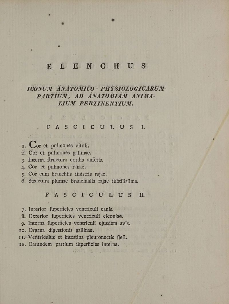 I. 9. 3. 4. ST eo E DiggGgGÀ5Uuu s PARTIUM, AD ANATOMIAM ANIMA- LIUM PERTINENTIUM. BIA SLOLUBIQUU ISUEU LS LE Co et pulmones vituli. Cor et pulmones gallinae. Interna ftructura cordis anferis. Cor et pulmones ranae. Cor cum branchiis finistris rajae. Structura plumae branchialis rajae fübtilisfima. EDMAOmSOCOMGCTUSE UIS TIE