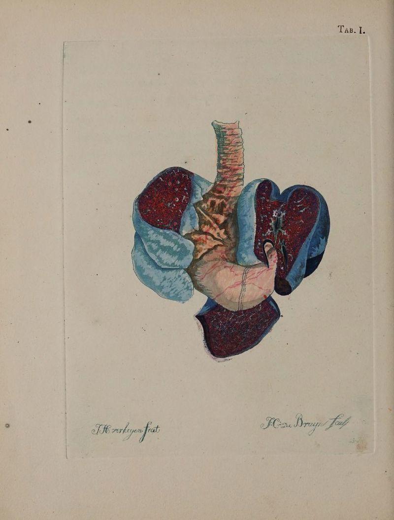 Tas. I. ua E , - Jt Ae Ju, Fo E erloen frat JG Doo » E c |