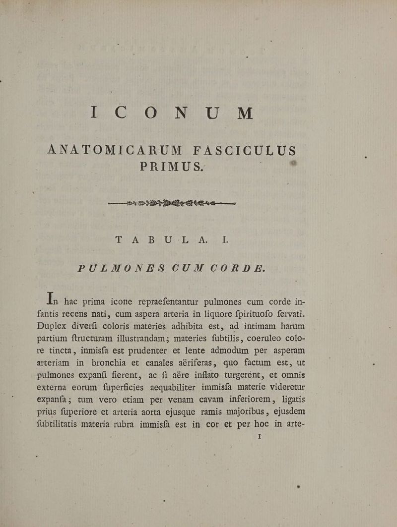 bo 6G QU UuN LU .M ANATOMICARUM FASCICULUS PRIMUS. |  PULMONESCUM CORDE. E hac prima icone repraefentantur pulmones cum corde in- fantis recens nati, cum aspera arteria in liquore fpirituofo fervati. Duplex diverfi coloris materies adhibita est, ad intimam harum partium ftructuram illustrandam; materies fubtilis, coeruleo colo- re tincta, inmisfa est prudenter et lente admodum per asperam arteriam in bronchia et canales aériferas, quo factum est, ut pulmones expanfíi fierent, ac íi aére inflato turgerént, et omnis externa eorum füperficies aequabiliter immisfa materie videretur expanfa; tum vero etiam per venam cavam inferiorem, ligatis prius fuperiore et arteria aorta ejusque ramis majoribus, ejusdem fubtilitatis materia rubra immisfa est in cor et per hoc in arte-