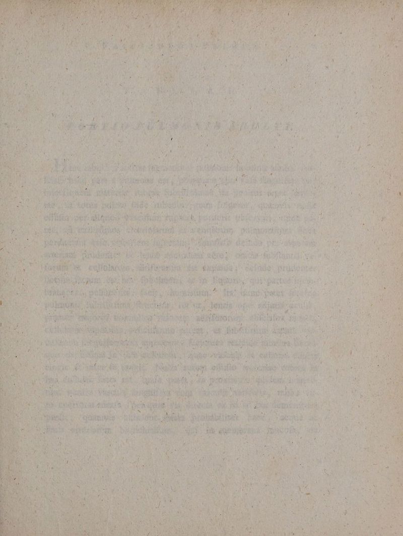 Mere ax T S ATO Amp) Cy n i lev z AT wi. An VoU TIE Mà 34i 4 wn st L (NS - artus 6