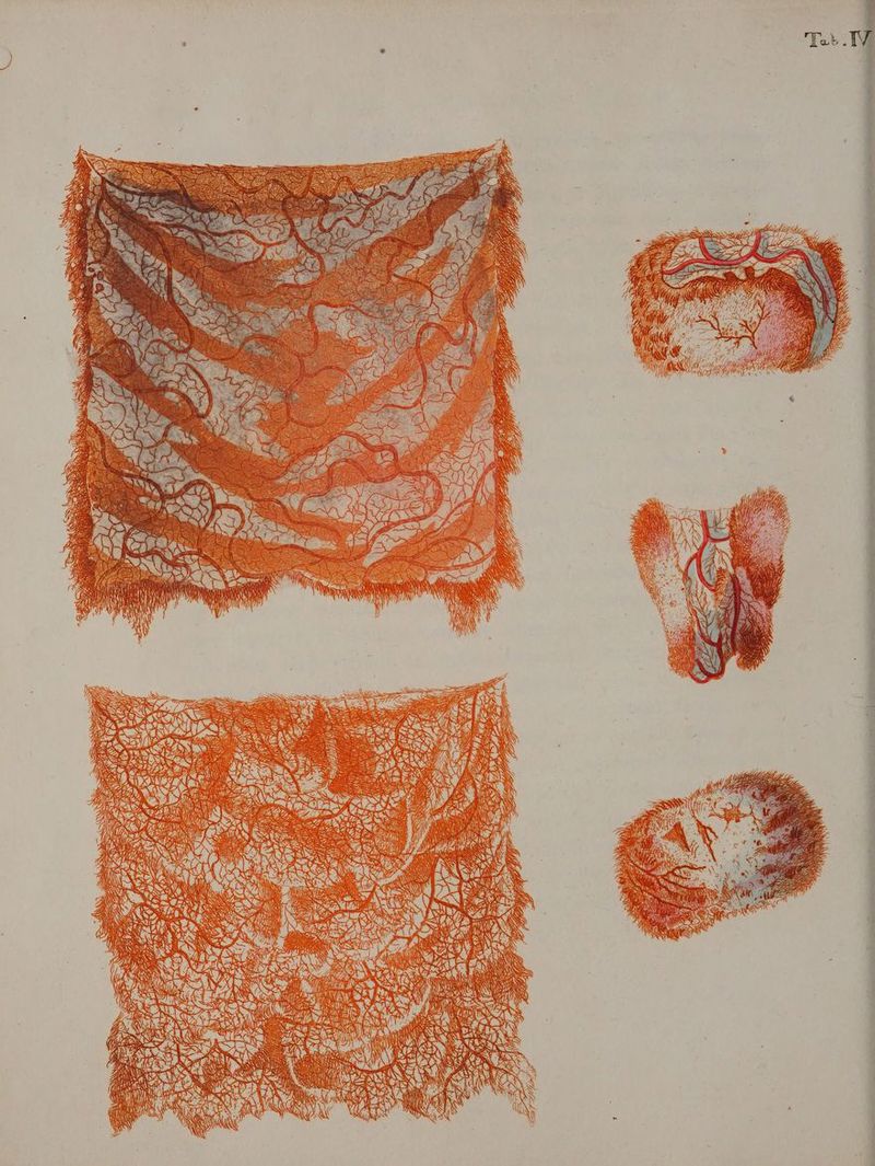 Wr. GA PARU N i (^ ROEROUN