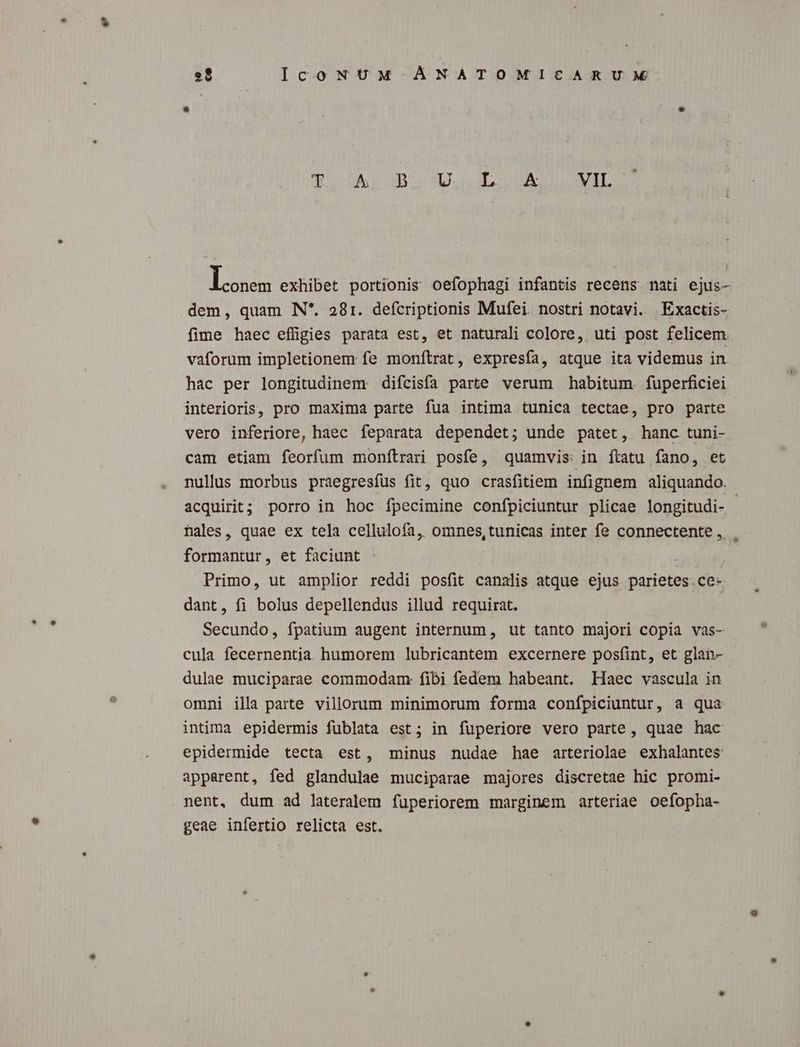 Tu 5AL JB XLLUE OUATUEIT. Los exhibet portionis oefophagi infantis recens. nati ejus- dem, quam N*. 281. defcriptionis Mufei. nostri notavi. Exactis- fime haec effigies parata est, et naturali colore, uti post felicem. vaforum impletionem fe monftrat, expresfa, atque ita videmus in hac per longitudinem difcisfa parte verum habitum. fuperficiei interioris, pro maxima parte fua intima tunica tectae, pro parte vero inferiore, haec feparata dependet; unde patet, hanc tuni- cam etiam feorfum monítrari posfe, quamvis: in ftatu fano, et nullus morbus praegresfus fit, quo crasfitiem infignem aliquando. acquirit; porro in hoc fpecimine confpiciuntur plicae longitudi- - nales, quae ex tela cellulofa, omnes,tunicas inter fe connectente , formantur, et faciunt Primo, ut amplior reddi posfit canalis atque ejus. parietes. ce- dant, fi bolus depellendus illud requirat. Secundo, fpatium augent internum, ut tanto majori copia vas- cula fecernentia humorem lubricantem excernere posfint, et glan- dulae muciparae commodam: fibi fedem habeant. Haec vascula in omni illa parte villorum minimorum forma confpiciuntur, a qua intima epidermis fublata est; in fuperiore vero parte, quae hac epidermide tecta est, minus nudae hae arteriolae exhalantes apparent, fed glandulae muciparae majores discretae hic promi- geae infertio relicta est.