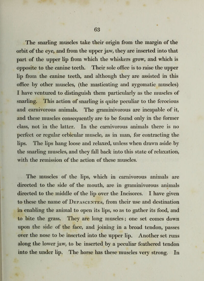 The snarling muscles take their origin from the margin of the orbit of the eye, and from the upper jaw, they are inserted into that part of the upper lip from which the whiskers grow, and which is opposite to the canine teeth. Their sole office is to raise the upper lip from the canine teeth, and although they are assisted in this office by other muscles, (the masticating and zygomatic muscles) I have ventured to distinguish them particularly as the muscles of snarling. This action of snarling is quite peculiar to the ferocious and carnivorous animals. The graminivorous are incapable of it, and these muscles consequently are to be found only in the former class, not in the latter. In the carnivorous animals there is no perfect or regular orbicular muscle, as in man, for contracting the lips. The lips hang loose and relaxed, unless when drawn aside by the snarling muscles, and they fall back into this state of relaxation, with the remission of the action of these muscles. The muscles of the lips, which in carnivorous animals are directed to the side of the mouth, are in graminivorous animals directed to the middle of the lip over the Incisores. I have given to these the name of Depascentes, from their use and destination in enabling the animal to open its lips, so as to gather its food, and to bite the grass. They are long muscles; one set comes down upon the side of the face, and joining in a broad tendon, passes over the nose to be inserted into the upper lip. Another set runs along the lower jaw, to be inserted by a peculiar feathered tendon into the under lip. The horse has these muscles very strong. In