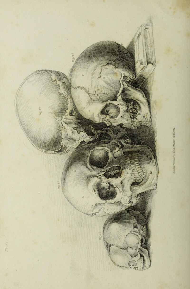 Zmdon. Jitbhshrd bv Zohn Murray. Jan 32624 -