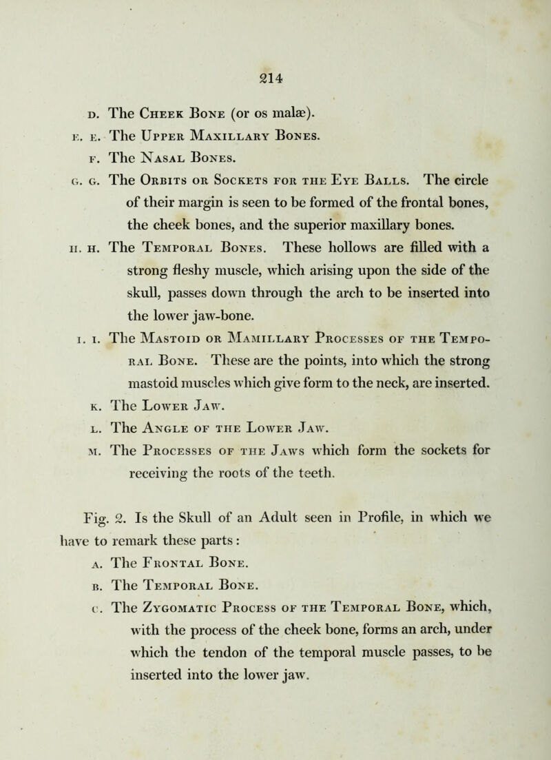 d. The Cheek Bone (or os malae). e. e. The Upper Maxillary Bones, f. The Nasal Bones. g. g. The Orbits or Sockets for the Eye Balls. The circle of their margin is seen to be formed of the frontal bones, the cheek bones, and the superior maxillary bones, ii. h. The Temporal Bones. These hollows are filled with a strong fleshy muscle, which arising upon the side of the skull, passes down through the arch to be inserted into the lower jaw-bone. i. i. The Mastoid or Mamillary Processes of the Tempo- ral Bone. These are the points, into which the strong mastoid muscles which give form to the neck, are inserted. k. The Lower Jaw. l. The Angle of the Lower Jaw. m. The Processes of the Jaws which form the sockets for receiving the roots of the teeth. Fig. 2. Is the Skull of an Adult seen in Profile, in which we have to remark these parts: a. The Frontal Bone. b. The Temporal Bone. c. The Zygomatic Process of the Temporal Bone, which, w ith the process of the cheek bone, forms an arch, under which the tendon of the temporal muscle passes, to be inserted into the lowrer jaw.