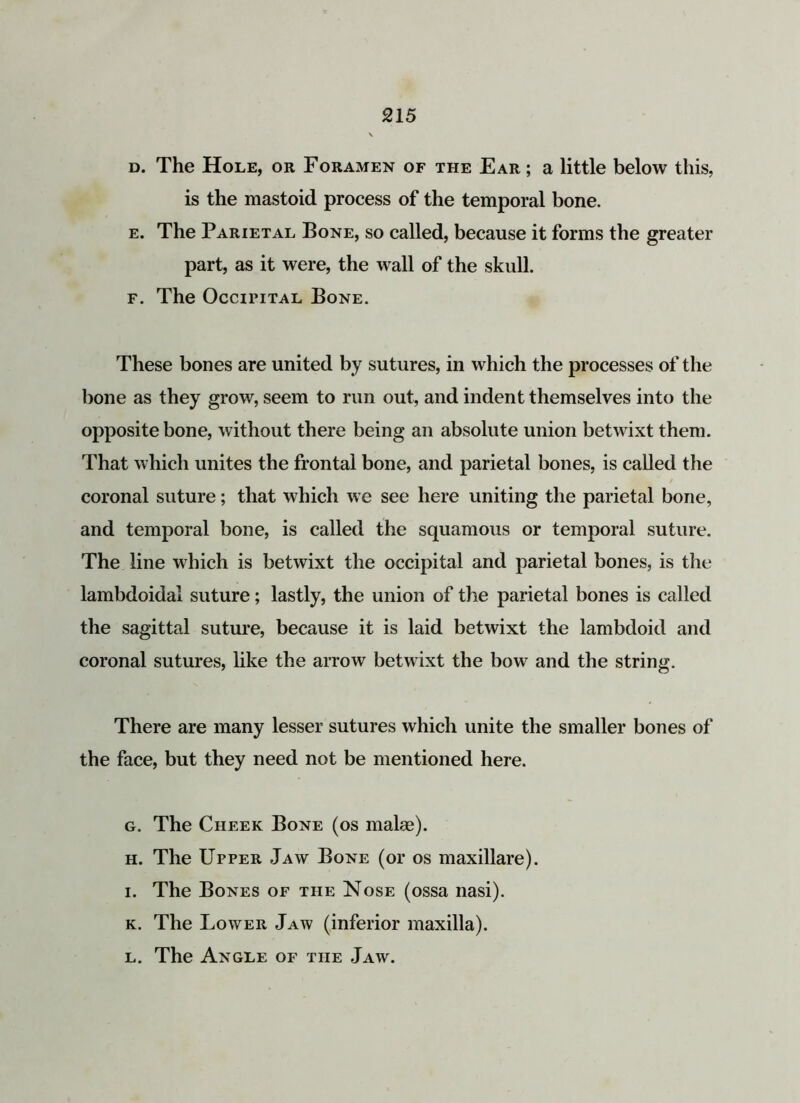 d. The Hole, or Foramen of the Ear ; a little below this, is the mastoid process of the temporal bone. e. The Parietal Bone, so called, because it forms the greater part, as it were, the wall of the skull. f. The Occipital Bone. These bones are united by sutures, in which the processes of the bone as they grow, seem to run out, and indent themselves into the opposite bone, without there being an absolute union betwixt them. That which unites the frontal bone, and parietal bones, is called the coronal suture; that which we see here uniting the parietal bone, and temporal bone, is called the squamous or temporal suture. The line which is betwixt the occipital and parietal bones, is the lambdoidal suture; lastly, the union of the parietal bones is called the sagittal suture, because it is laid betwixt the lambdoid and coronal sutures, like the arrow betwixt the bow and the string. There are many lesser sutures which unite the smaller bones of the face, but they need not be mentioned here. g. The Cheek Bone (os make). h. The Upper Jaw Bone (or os maxillare). i. The Bones of the Nose (ossa nasi). k. The Lower Jaw (inferior maxilla). l. The Angle of the Jaw.