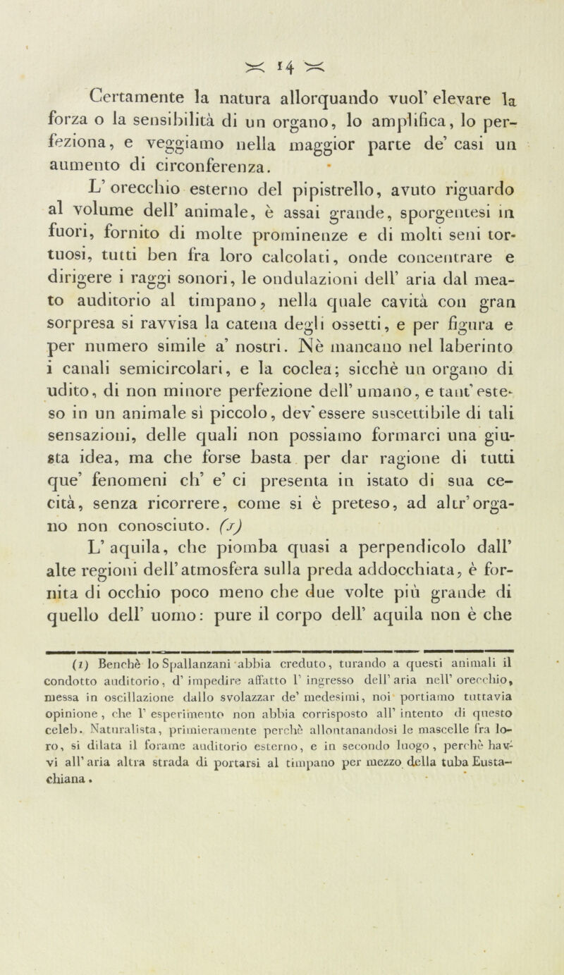 Certamente la natura allorquando vuol’ elevare la forza o la sensibilità di un organo, lo amplifica, lo per- feziona, e veggiamo nella maggior parte de’ casi un aumento di circonferenza. L’orecchio esterno del pipistrello, avuto riguardo al volume dell’ animale, è assai grande, sporgentesi in fuori, fornito di molte prominenze e di molti seni tor- tuosi, tutti ben fra loro calcolati, onde concentrare e dirigere i raggi sonori, le ondulazioni dell’ aria dal mea- to auditorio al timpano, nella quale cavità con gran sorpresa si ravvisa la catena degli ossetti, e per figura e per numero simile a’ nostri. Nè mancano nel laberinto i canali semicircolari, e la coclea; sicché un organo di udito, di non minore perfezione dell’umano, e tant’este- so in un animale sì piccolo, dev'essere suscettibile di tali sensazioni, delle quali non possiamo formarci una giu- sta idea, ma che forse basta per dar ragione di tutti que’ fenomeni eh’ e’ ci presenta in istato di sua ce- cità, senza ricorrere, come si è preteso, ad altr’orga- no non conosciuto, (j) L’aquila, che piomba quasi a perpendicolo dall’ alte regioni dell’atmosfera sulla preda addocchiata, è for- nita di occhio poco meno che due volte più grande di quello dell’ uomo: pure il corpo dell’ aquila non è che (1) Benché lo Spallanzani abbia creduto, turando a questi animali il condotto auditorio, d’impedire affatto l’ingresso dell’aria nell’orecchio, messa in oscillazione dallo svolazzar de’ medesimi, noi portiamo tuttavia opinione, che 1' esperimento non abbia corrisposto all’intento di questo celeb. Naturalista, primieramente perchè allontanandosi le mascelle Ira lo- ro, si dilata il forame auditorio esterno, e in secondo luogo, perchè hav: vi all’ aria altra strada di portarsi al timpano per mezzo della tuba Eusta- chiana.