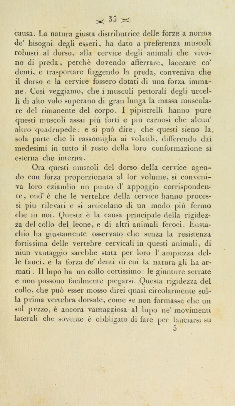 X causa. La natura giusta distributrice delle forze a norma de’ bisogni degli esseri, ha dato a preferenza muscoli robusti al dorso, alla cervice degli animali che vivo- no di preda, perchè dovendo afferrare, lacerare co’ denti, e trasportare fuggendo la preda, conveniva che il dorso e la cervice fossero dotati di una forza imma- ne. Cosi veggiamo, che 1 muscoli pettorali degli uccel- li di alto volo superano di gran lunga la massa muscola- re del rimanente del corpo. I pipistrelli hanno pure questi muscoli assai più forti e più carnosi che alcun’ altro quadrupede: e si può dire, che questi sieno la sola parte che li rassomiglia ai volatili, differendo dai medesimi in tutto il resto della loro conformazione si esterna che interna. Ora questi muscoli del dorso della cervice agen- do con forza proporzionata al lor volume, si conveni- va loro eziandio un punto d’ appoggio corrisponden- te, orid’ è che le vertebre della cervice hanno proces- si più rilevati e si articolano di un modo più fermo che in noi. Questa è la causa principale della rigidez- za del collo del leone, e di altri animali feroci. Lusta- chio ha giustamente osservato che senza la resistenza fortissima delle vertebre cervicali in questi animali, di niun vantaggio sarebbe stata per loro V ampiezza del- le fauci, e la forza de’ denti di cui la natura gli ha ar- mati . Il lupo ha un collo cortissimo: le giunture serrate e non possono facilmente piegarsi. Questa rigidezza del collo, che può esser mosso direi quasi circolarmente sul- la prima vertebra dorsale, come se non formasse che un sol pezzo, è ancora vantaggiosa al lupo ne’ movimenti laterali che sovente è obbligato di fare per lanciarsi su